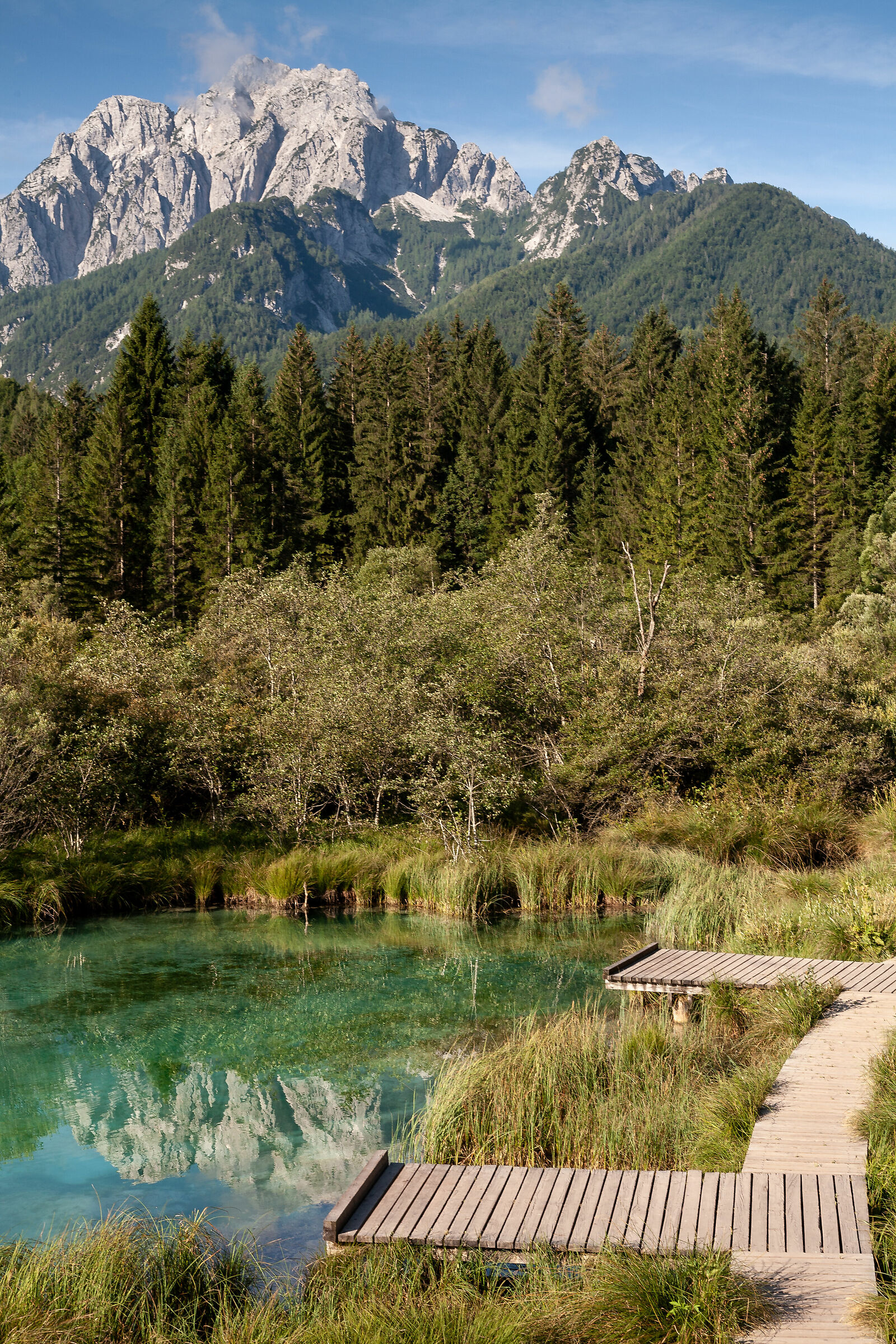 Lake in The Zelenci Reserve