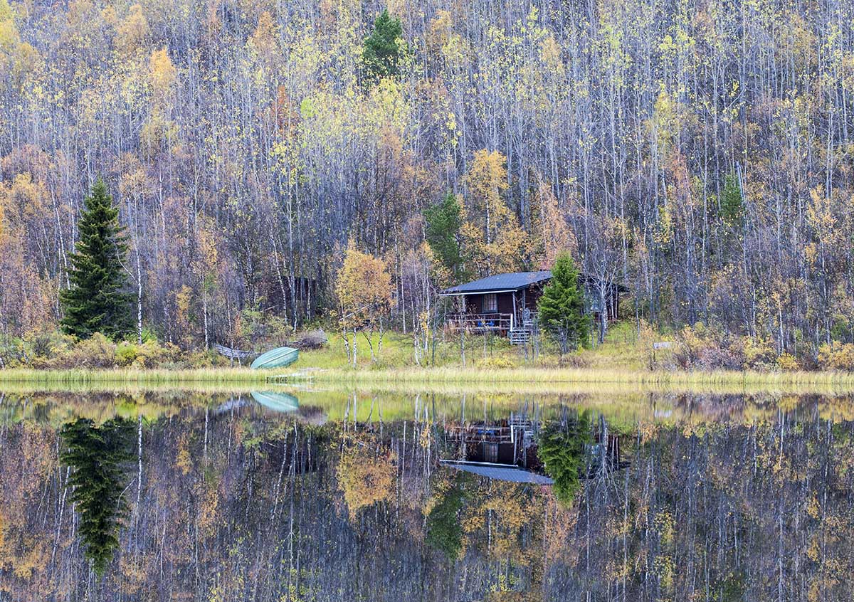 almost like Monet...