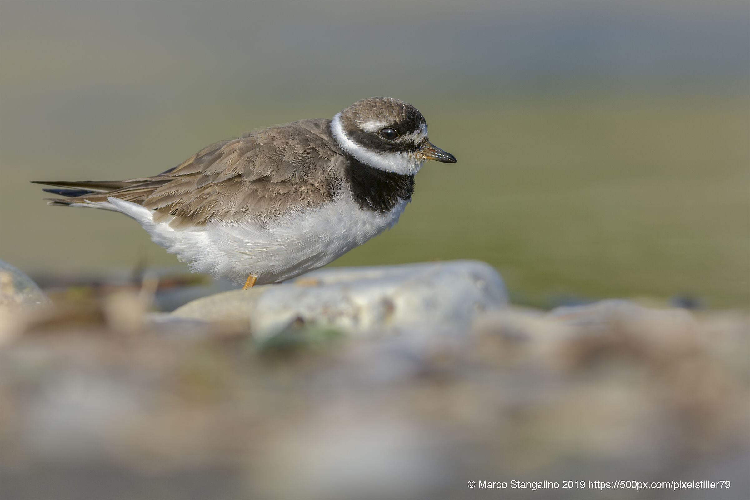 Staying on the Beach....