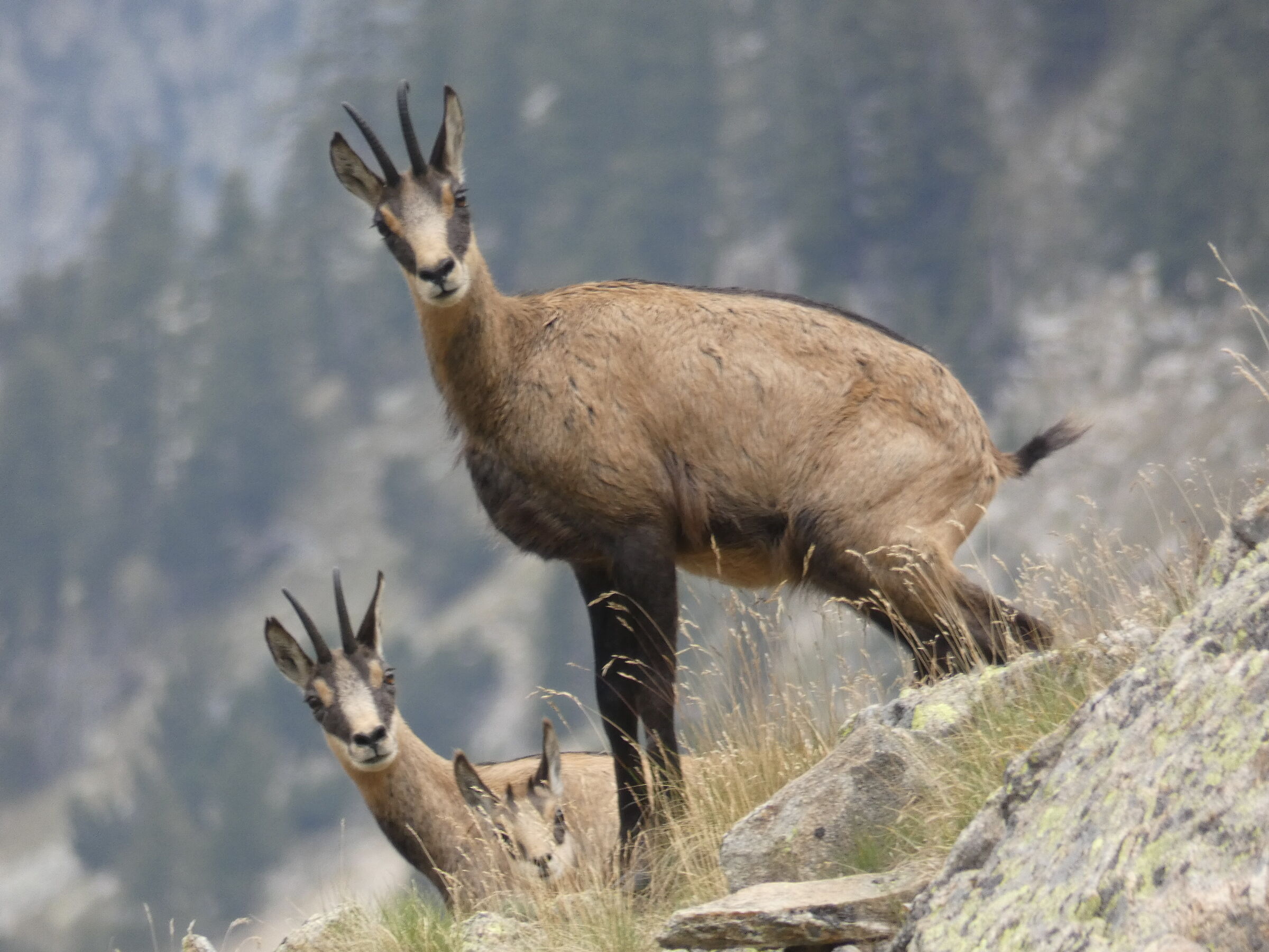 Meetings that are only done in the mountains