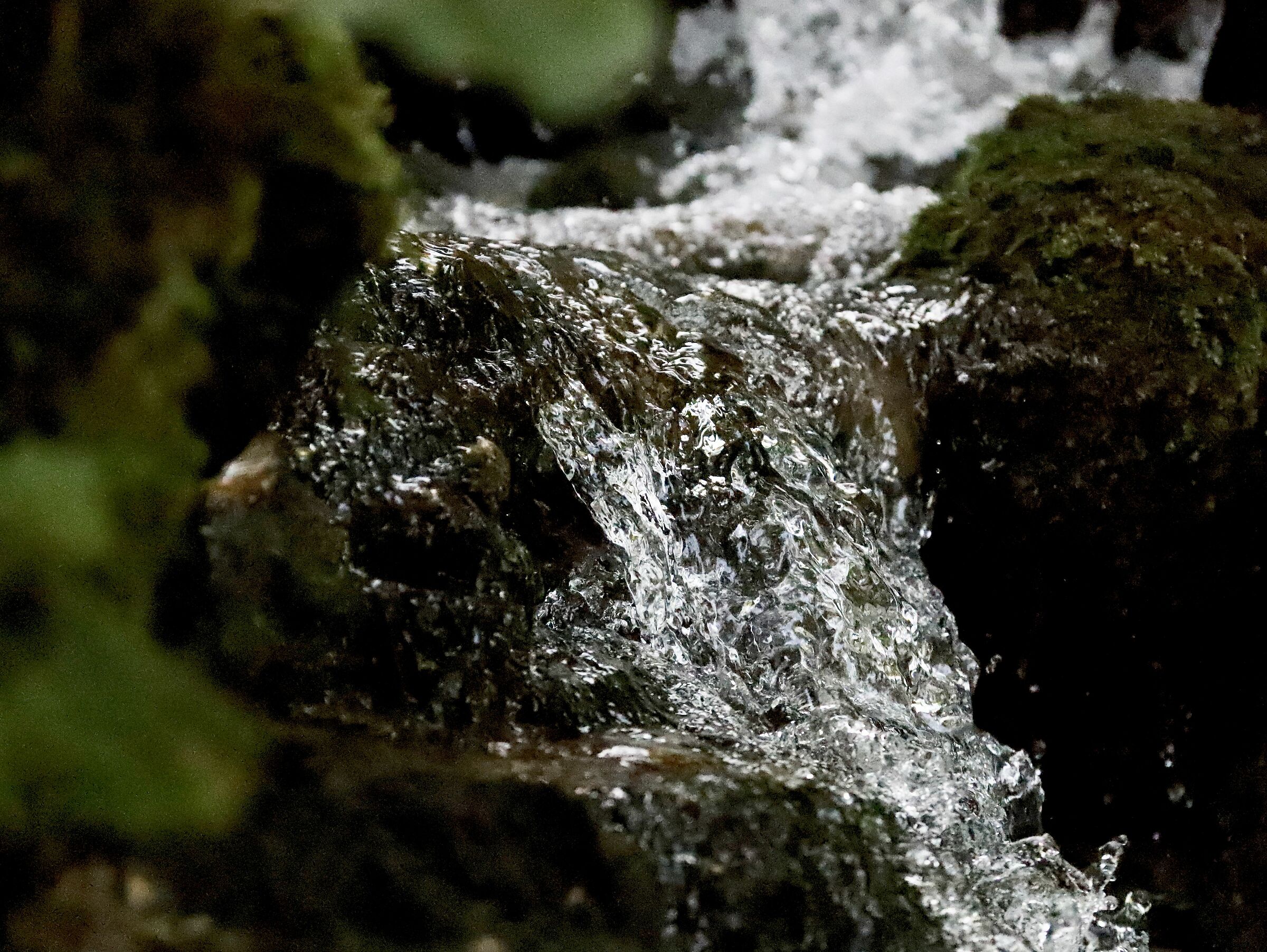 Se ti fermi nel bosco