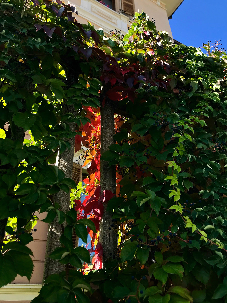 L'autunno bussa alla porta