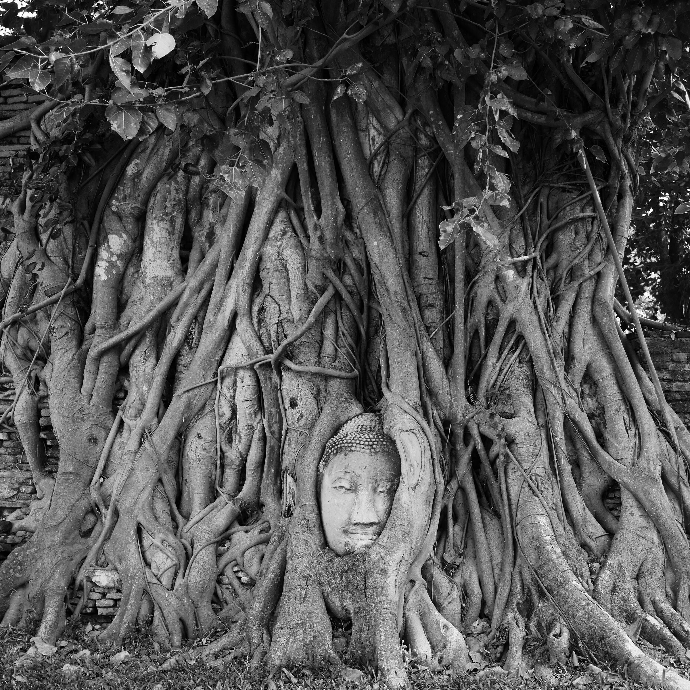 Ayutthaya, Parco Storico