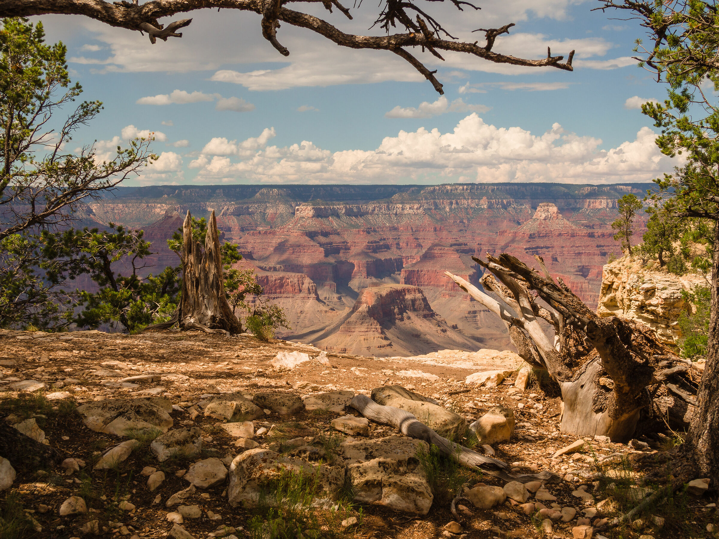 grand canyon