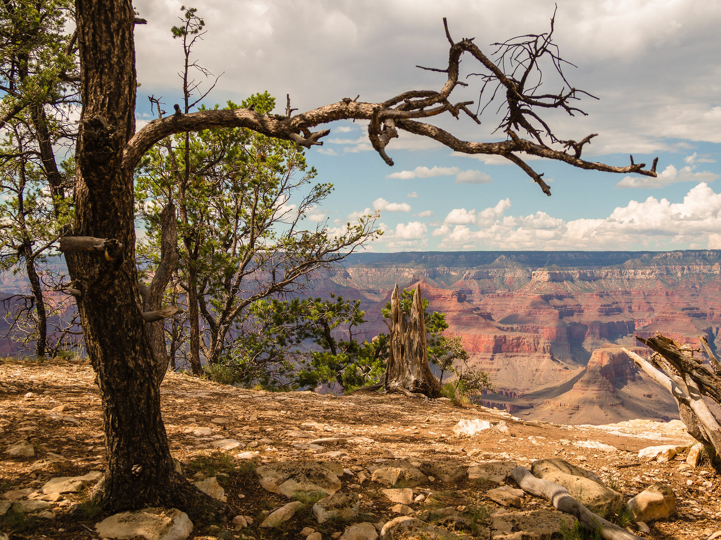 grand canyon
