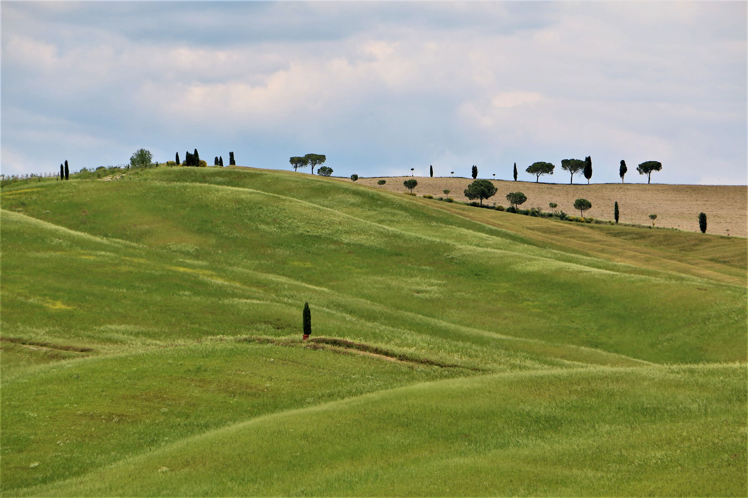 the downside .... Explain...