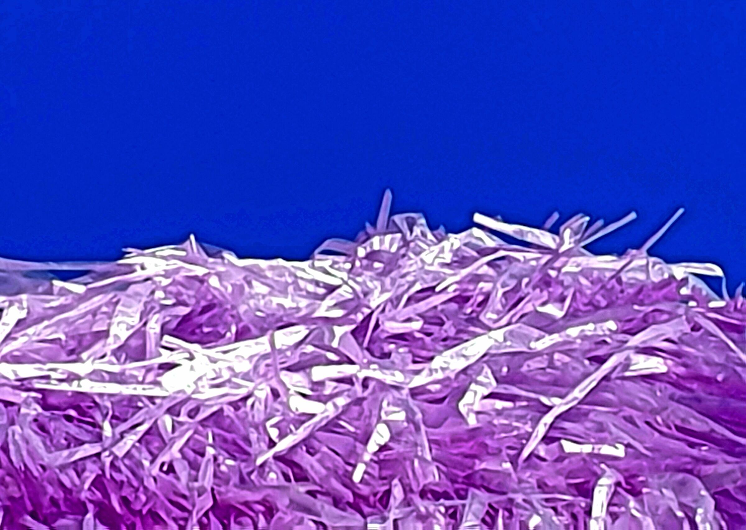 sitting on the beach looking up at the sky