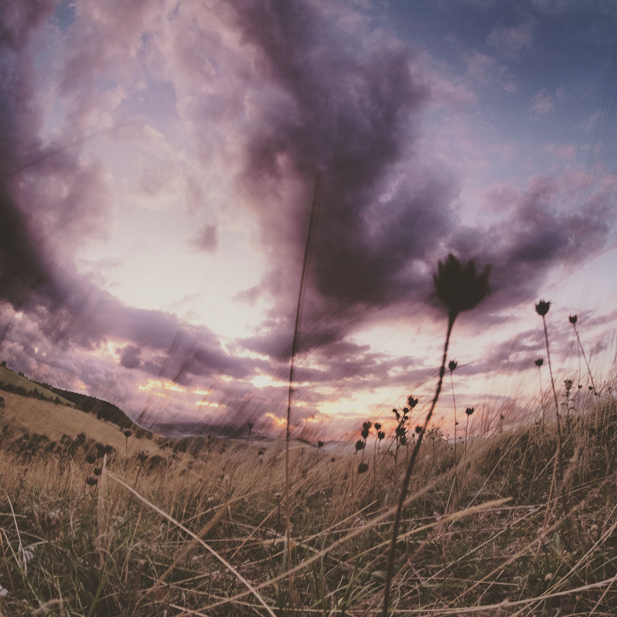 Sunsets.Marche.02