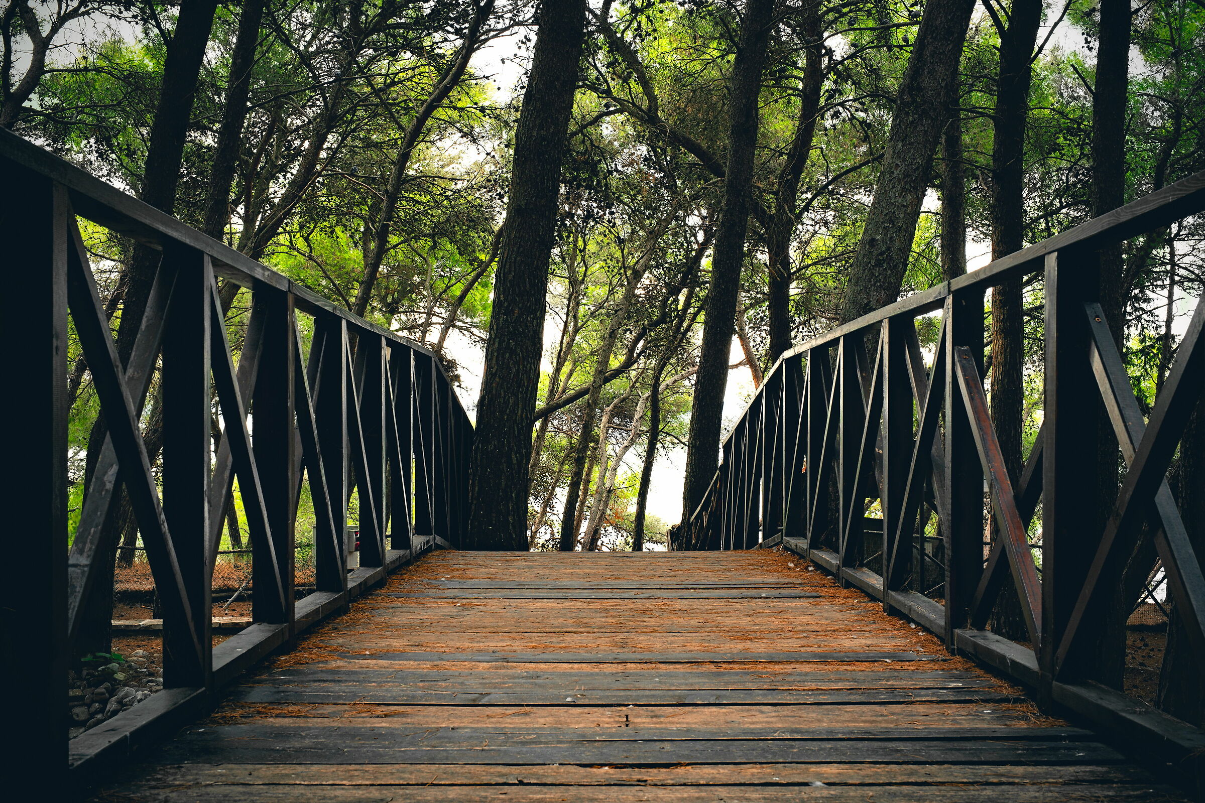 Taranto - Parco Cimino