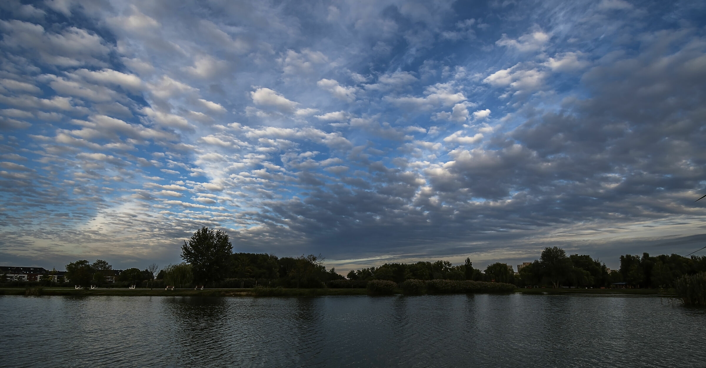 Salvador Dalì in blu