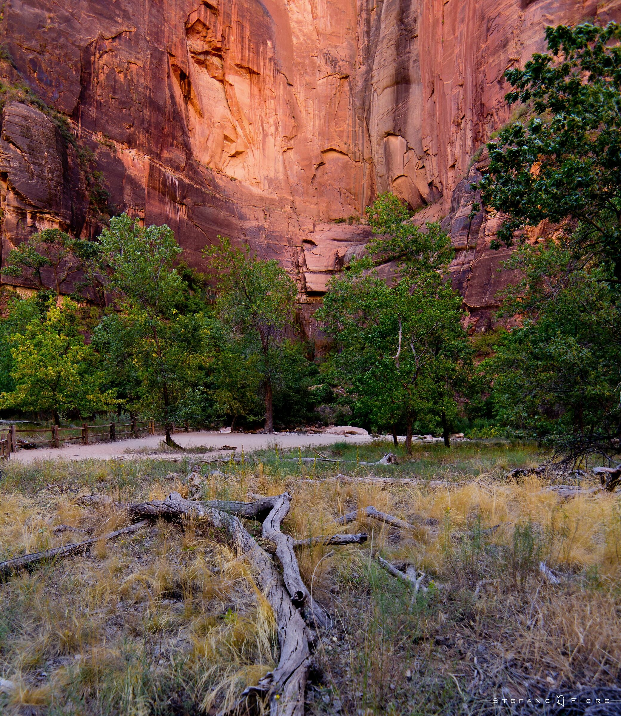 Equilibrio di colori (Zion Park - usa)