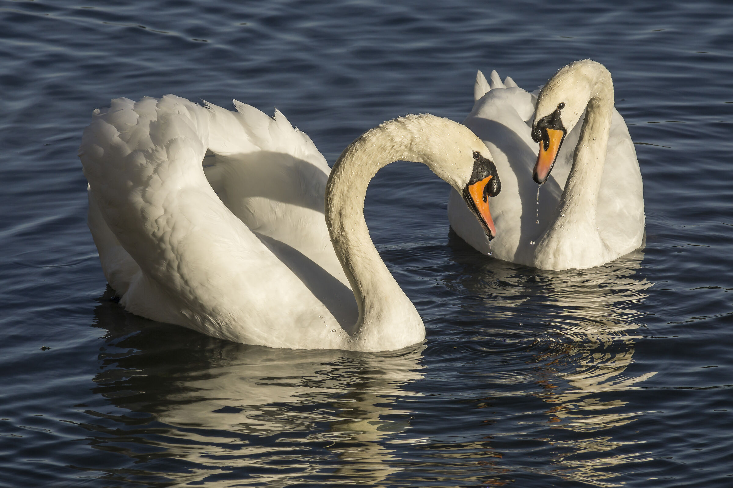 Govedì 3 ottobre 2019. 17:22:22