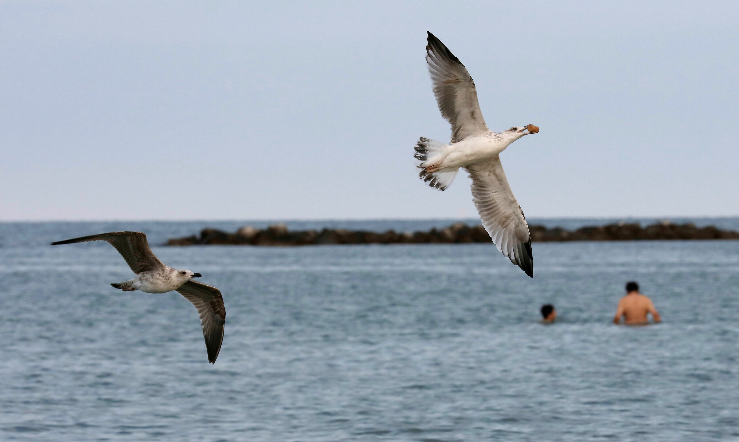 Let's argue the cap that the bottle is gone