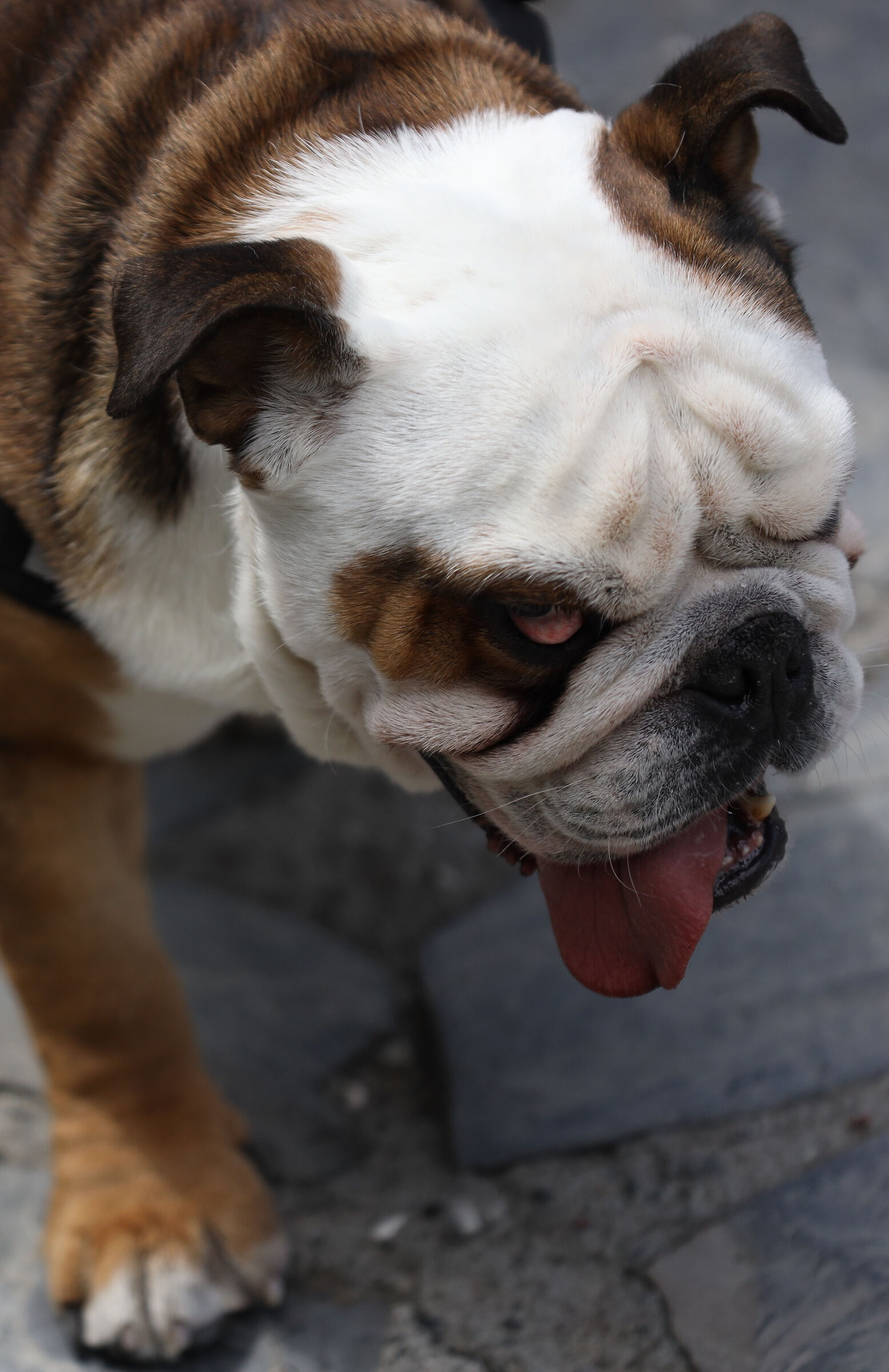 Volevi dirmi qualcosa?