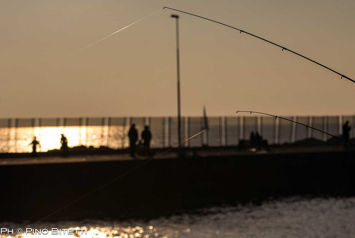 lines and transparencies