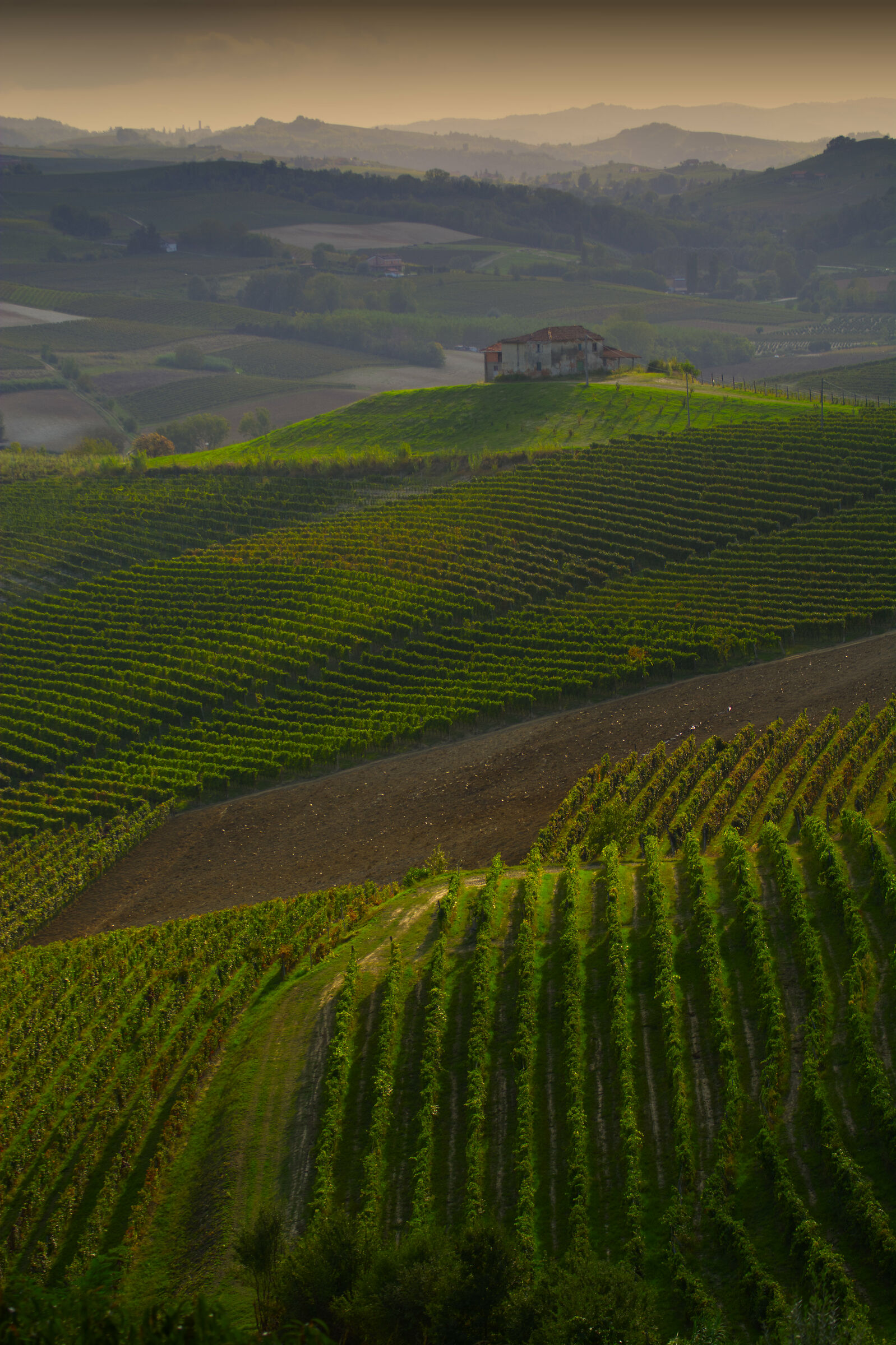 Monferrato fine settembre