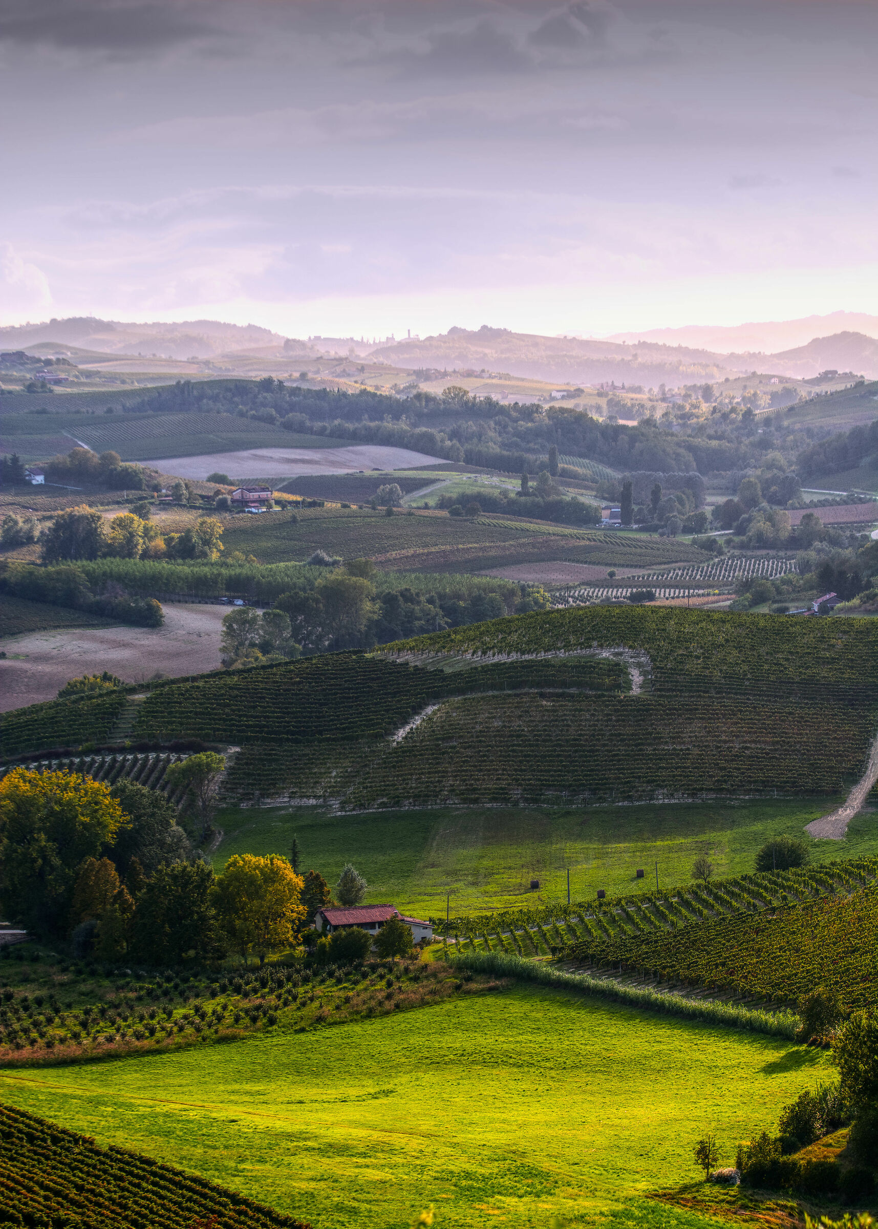 Monferrato fine settembre