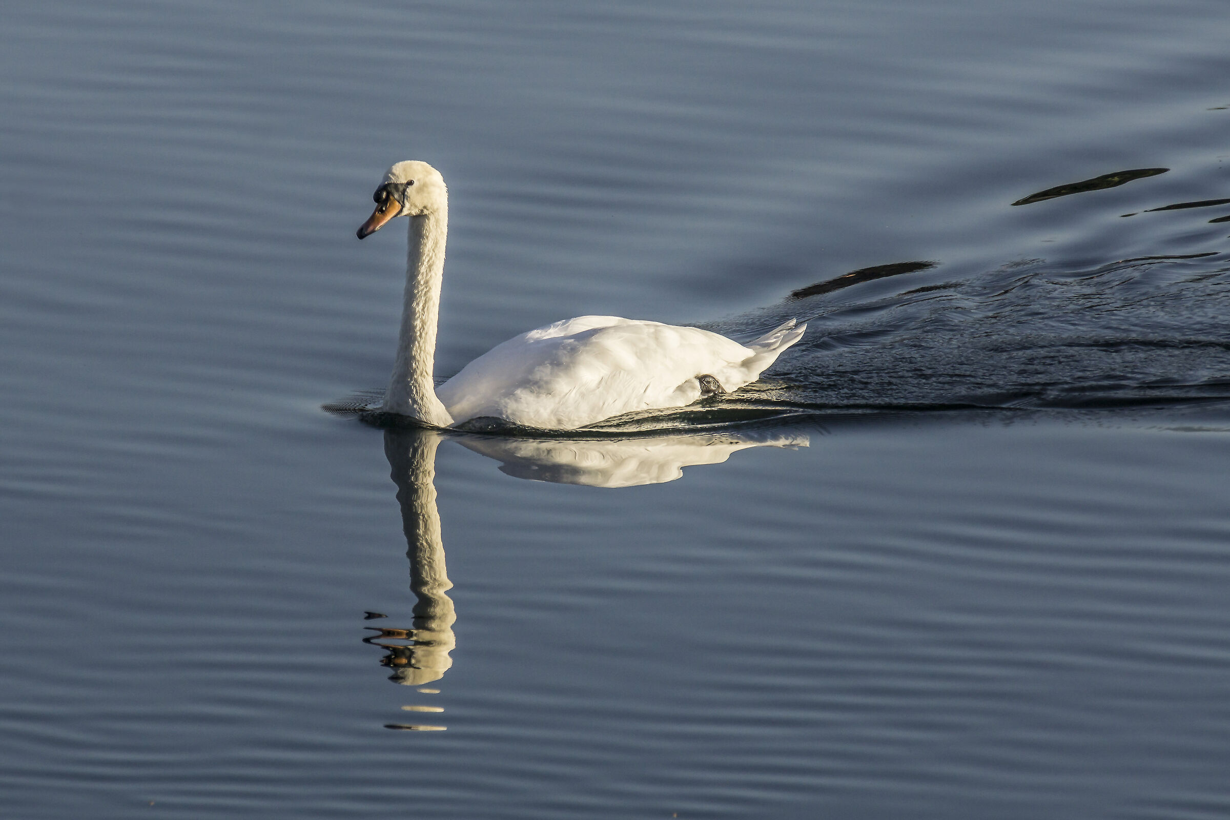 Govedì 3 ottobre 2019. 17:53:26
