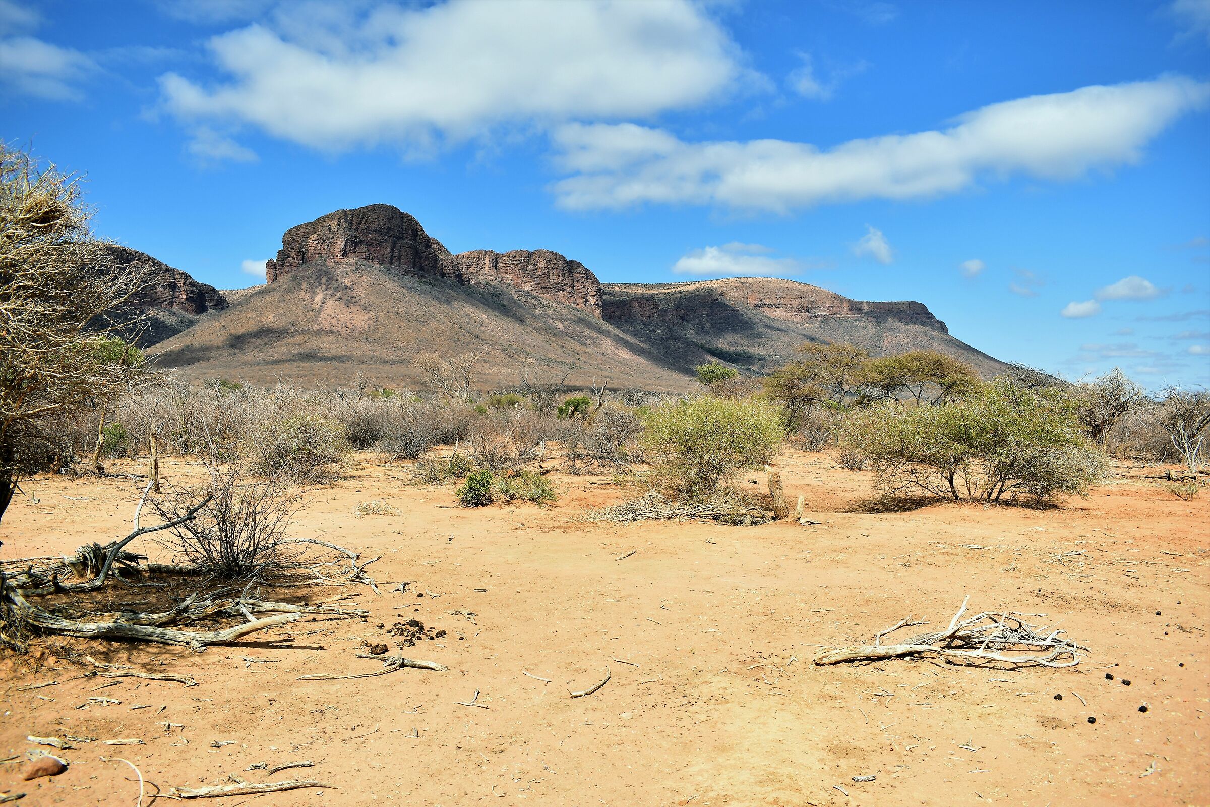 America? No South Africa The impressive Waterberg mountain!