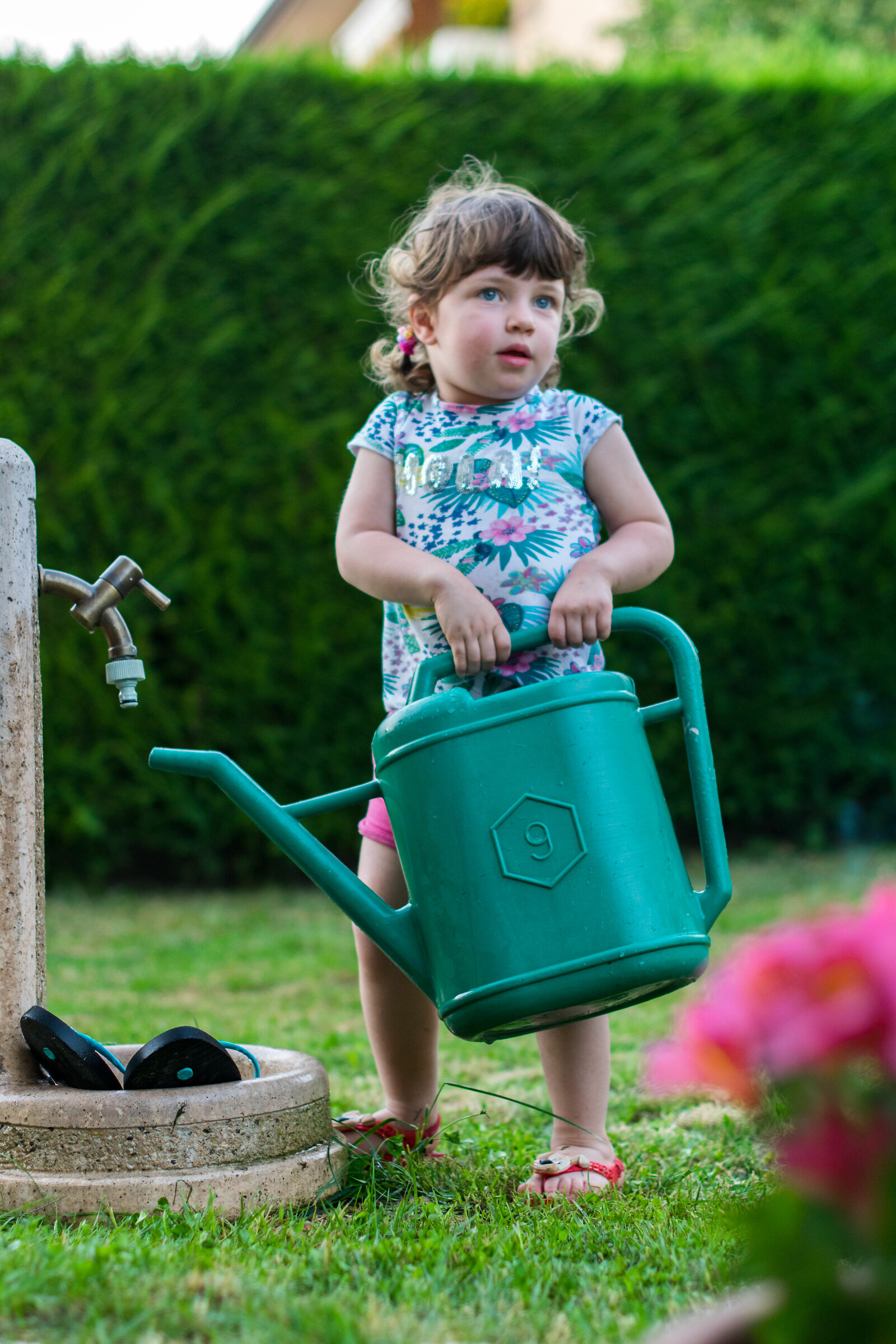 Annaffiamo le piante