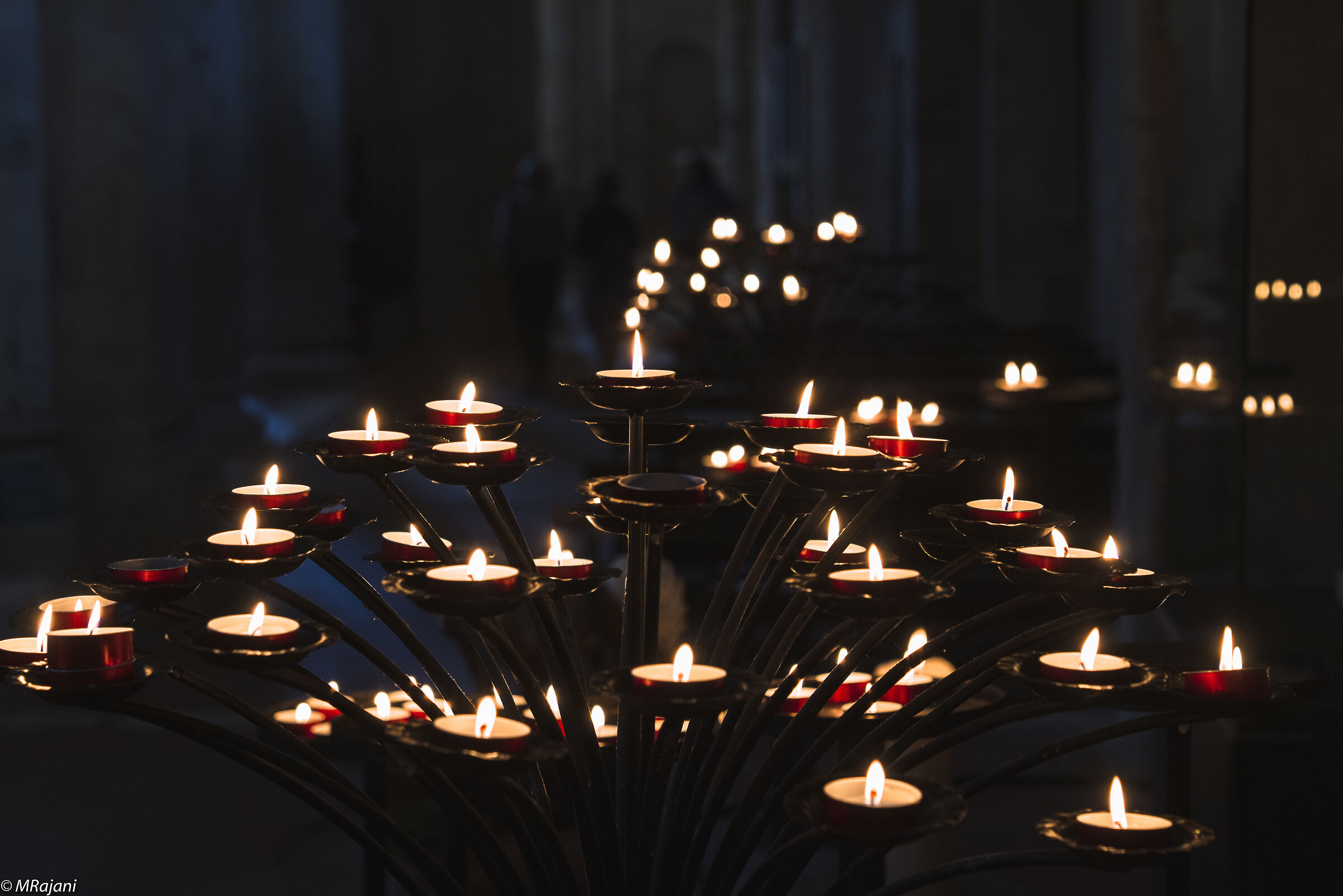 lights in the darkness