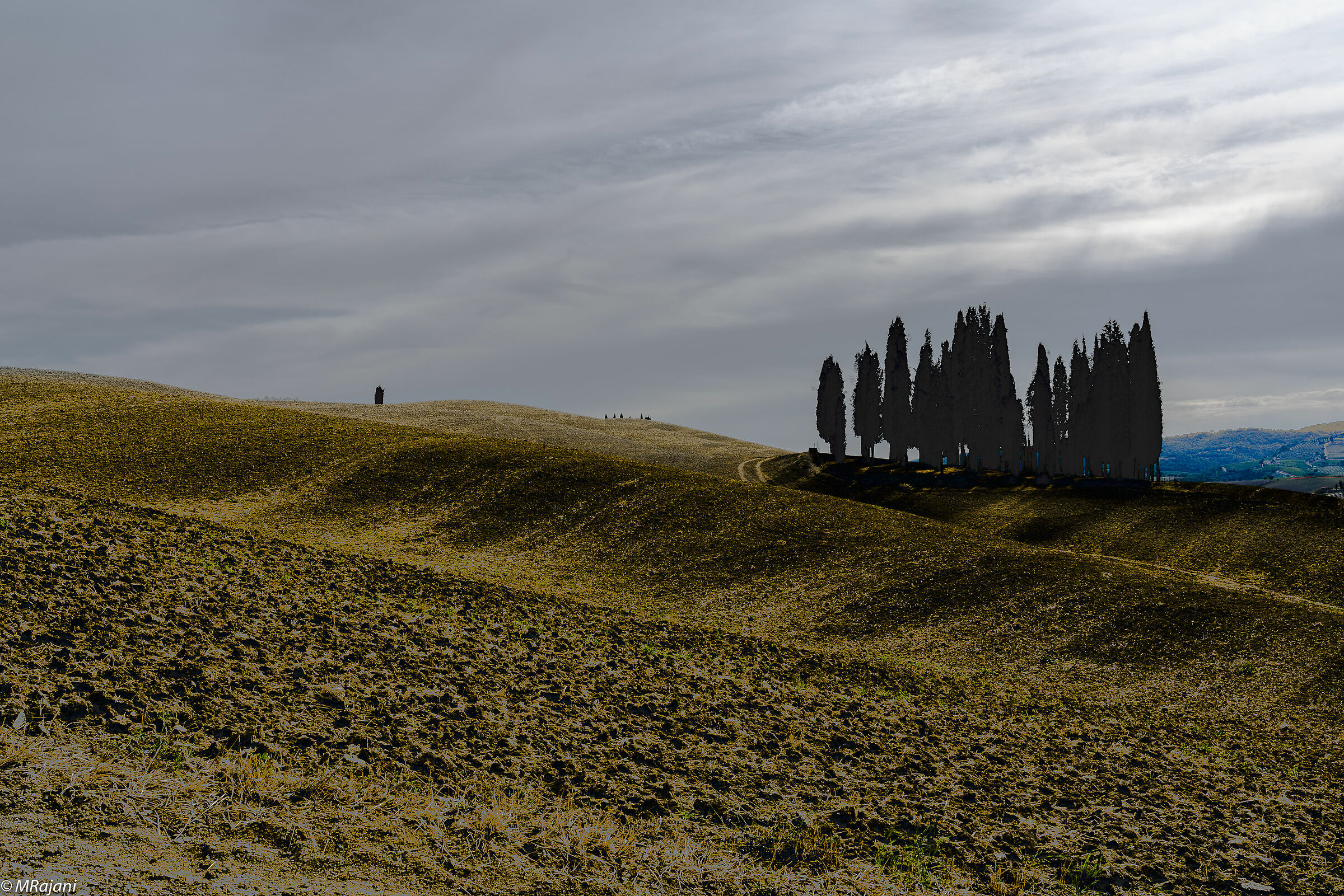 boschetti di montalcino