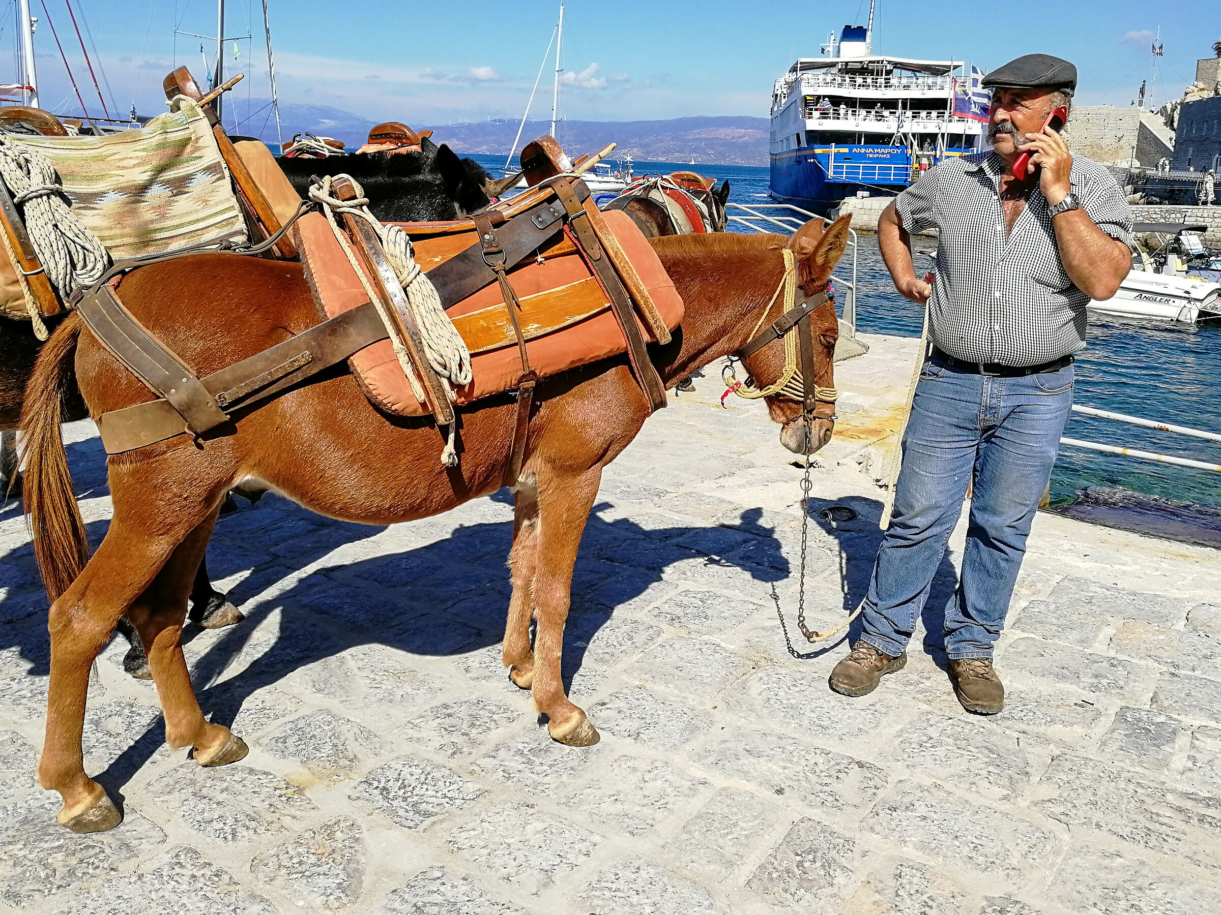 Donkeys and smartphones