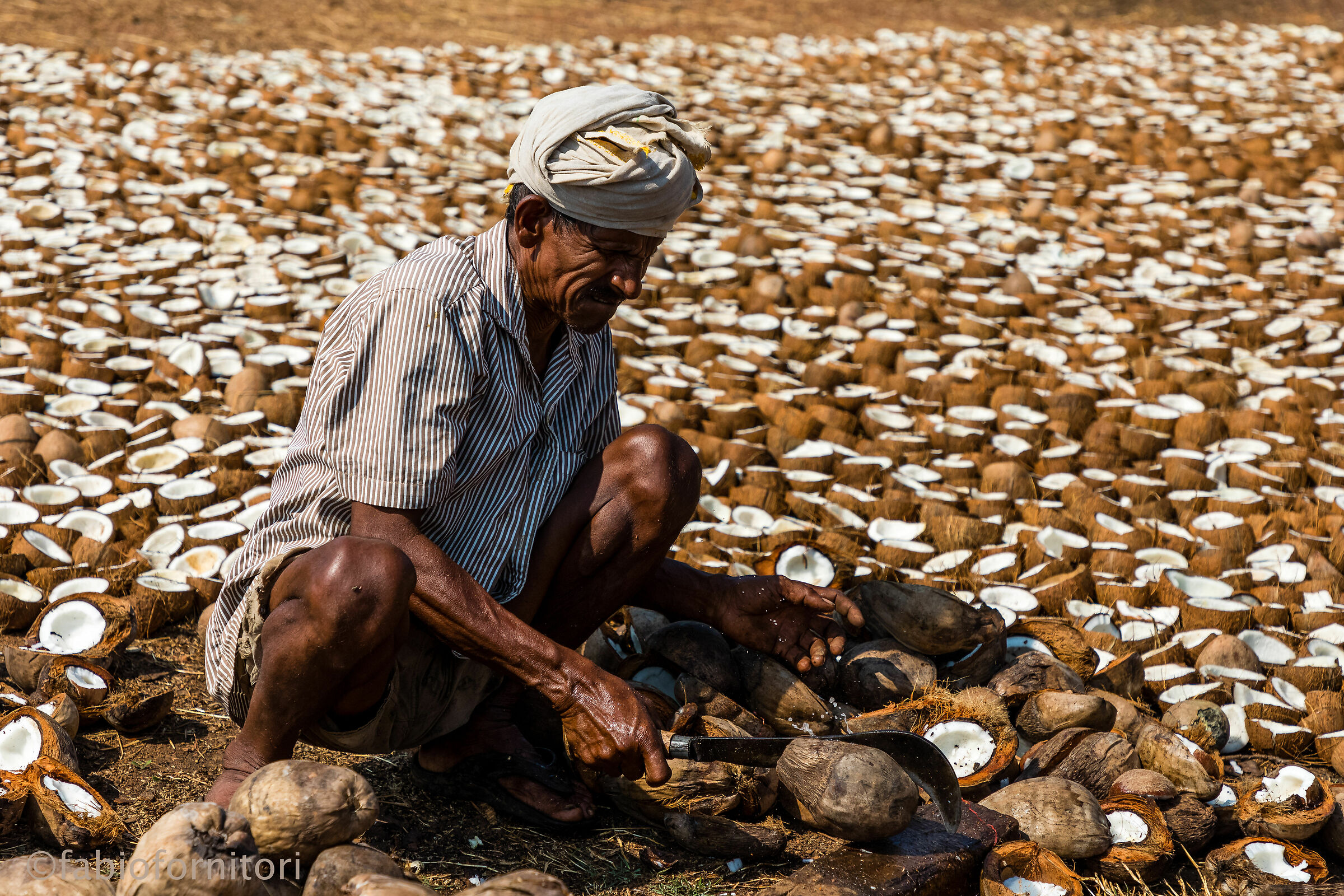 Goa , Tagliatore di cocco , India 2018