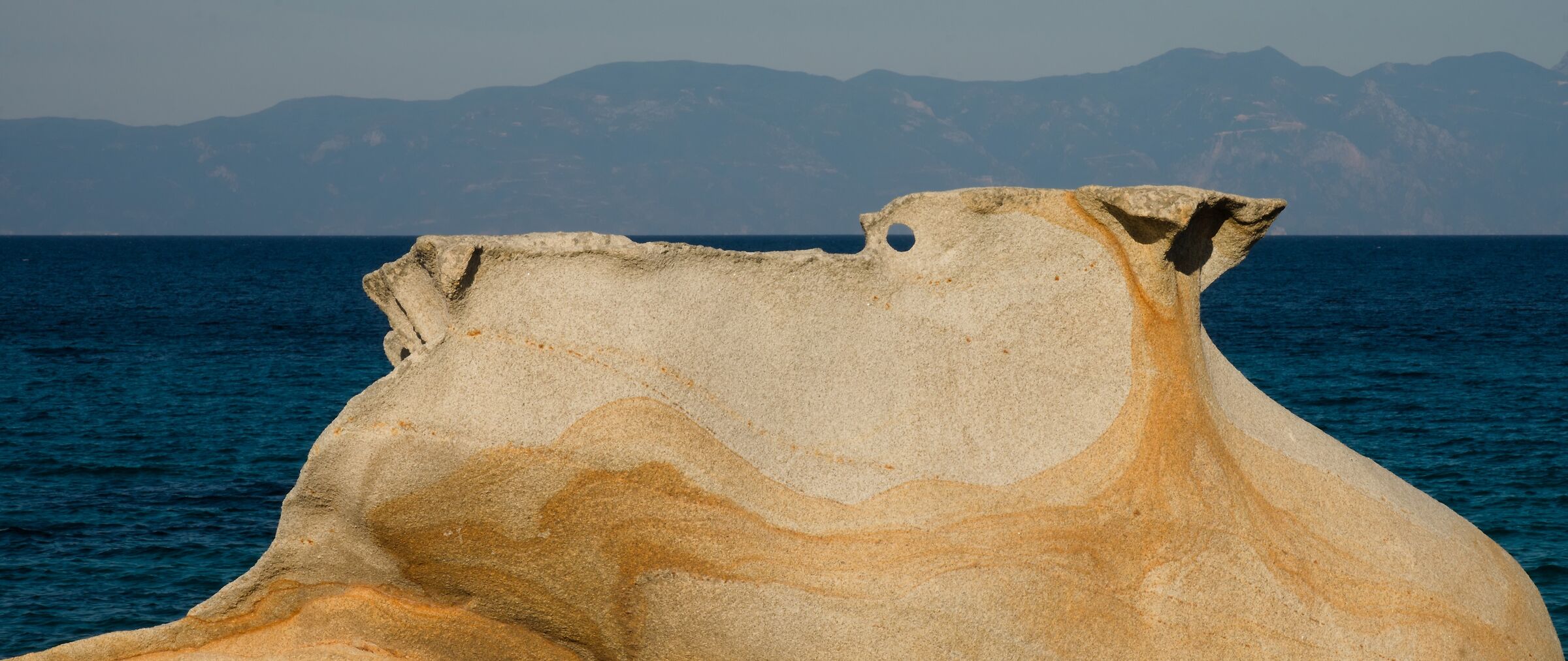 Fossile marino / Sarti Grecia