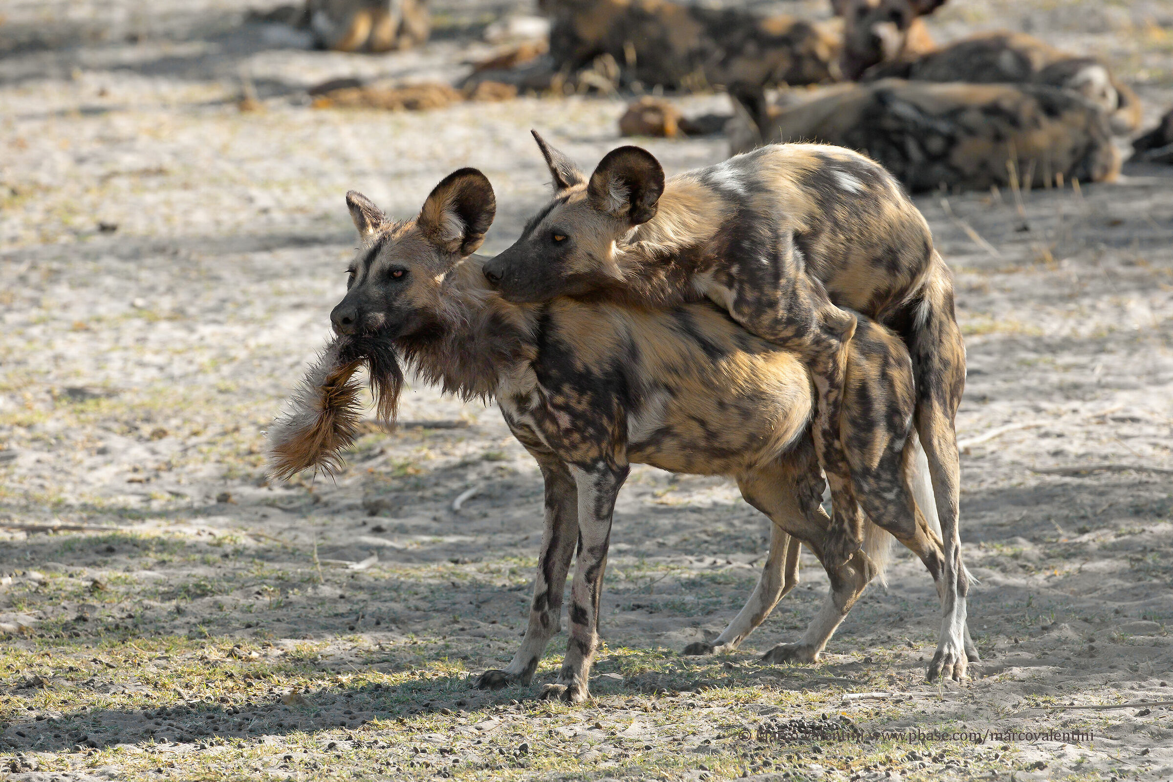 ... and after a nice eat....