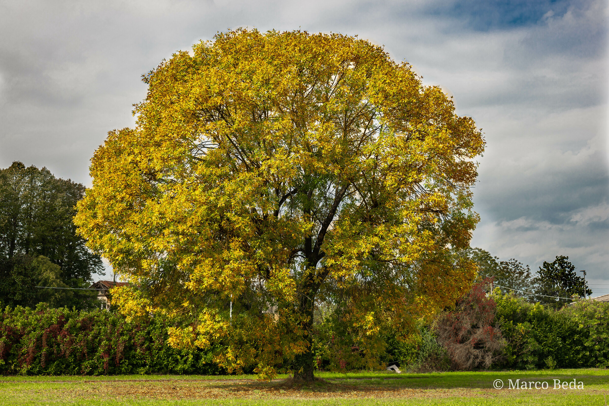Autumn