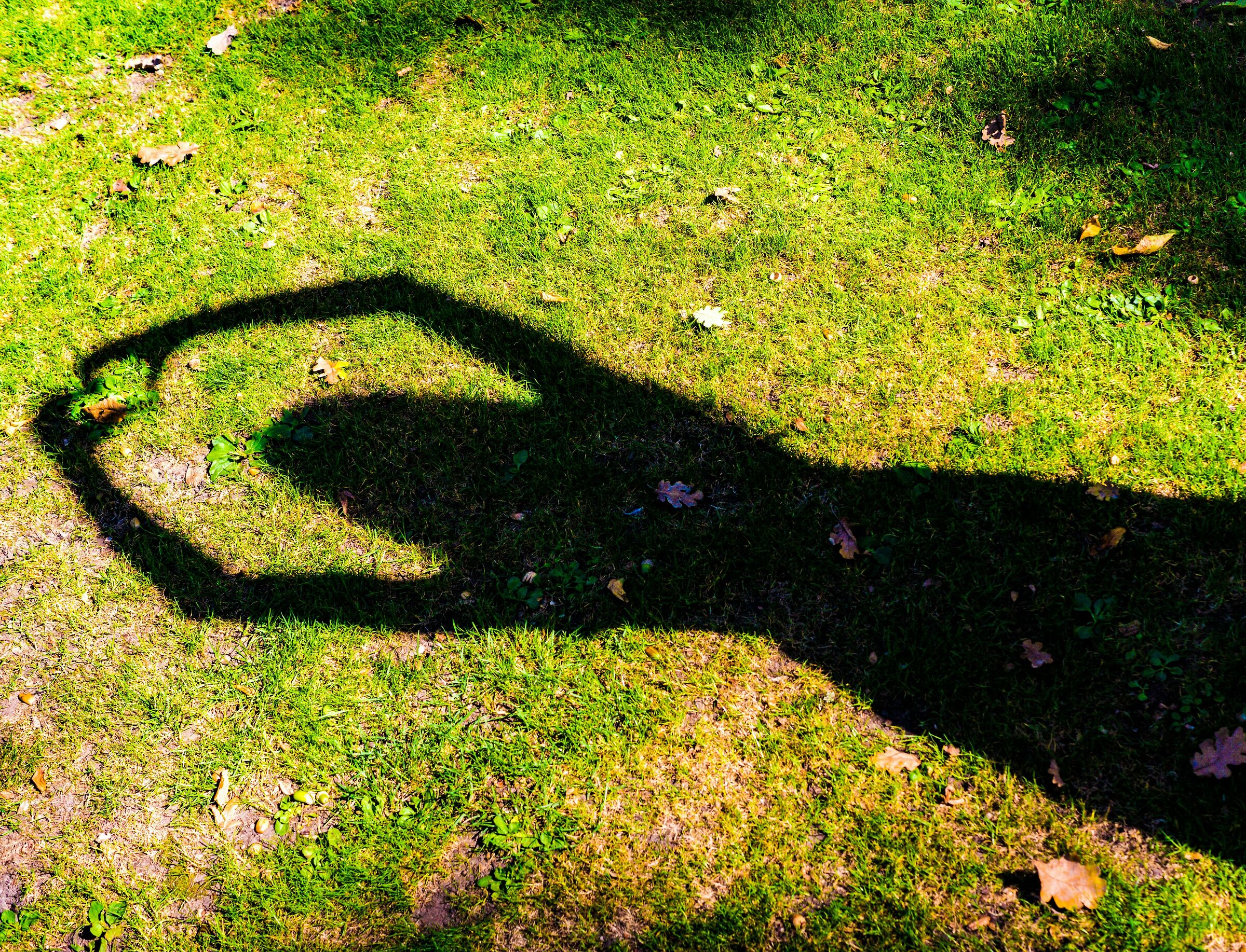 green heart