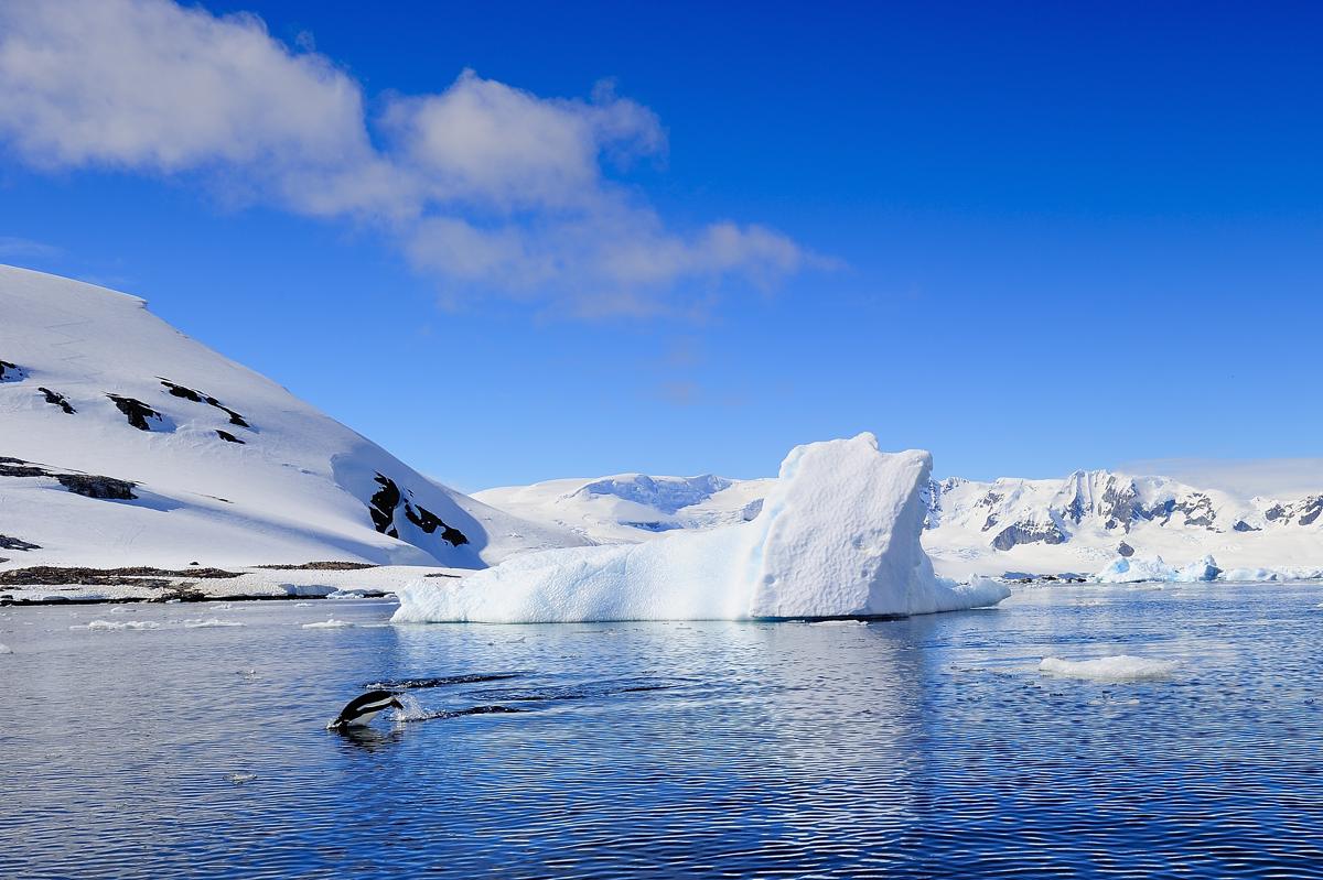 Iceberg with Penguin Hopping