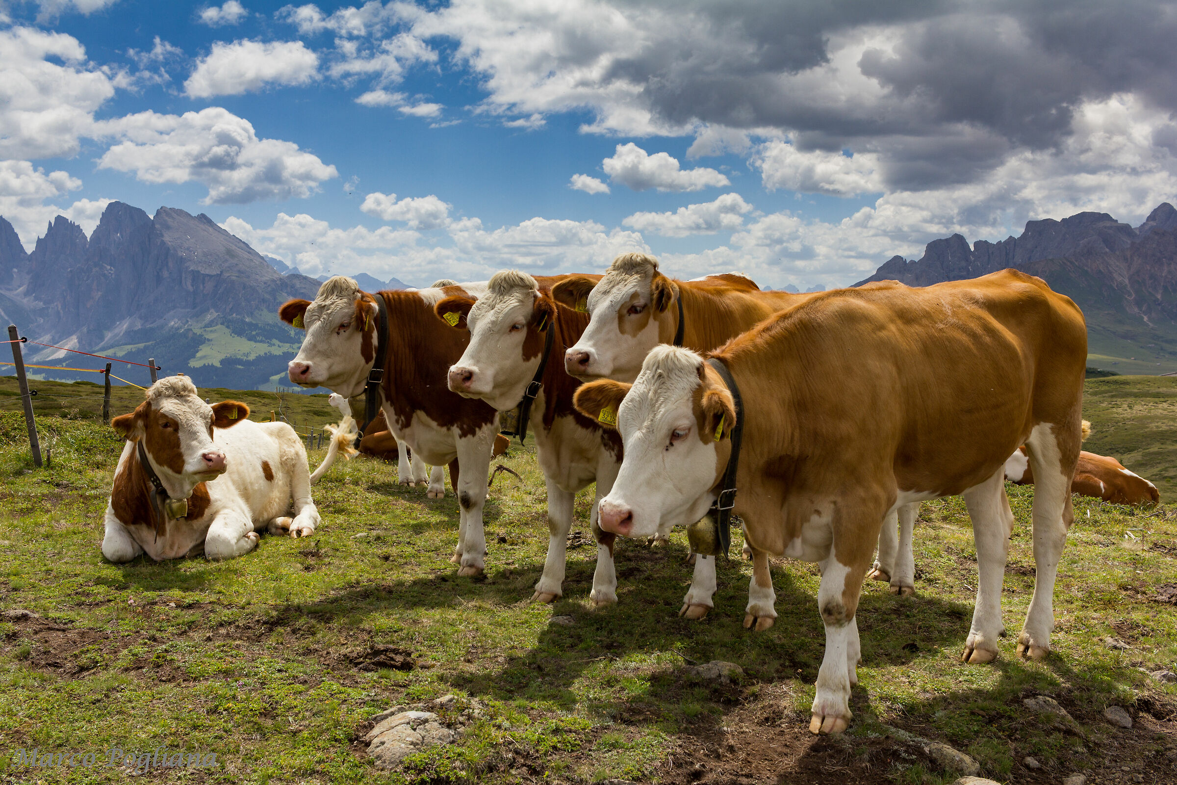 Ai blocchi di partenza