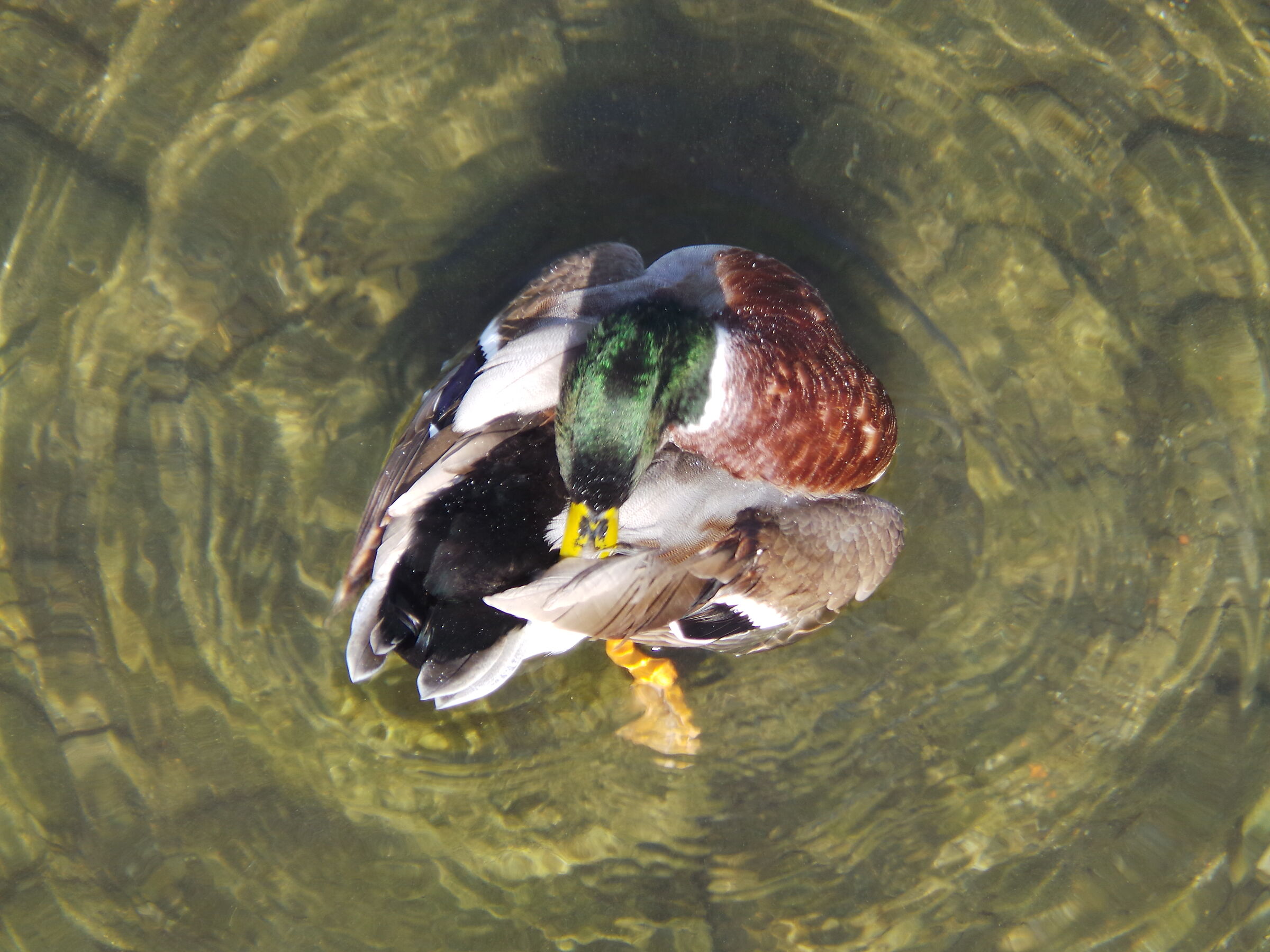 walk along the river