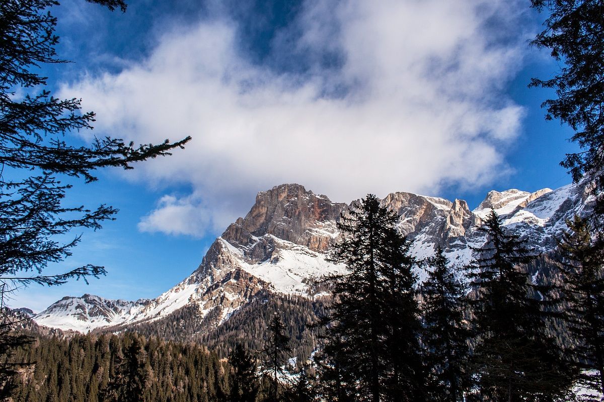 pale di san martino_05