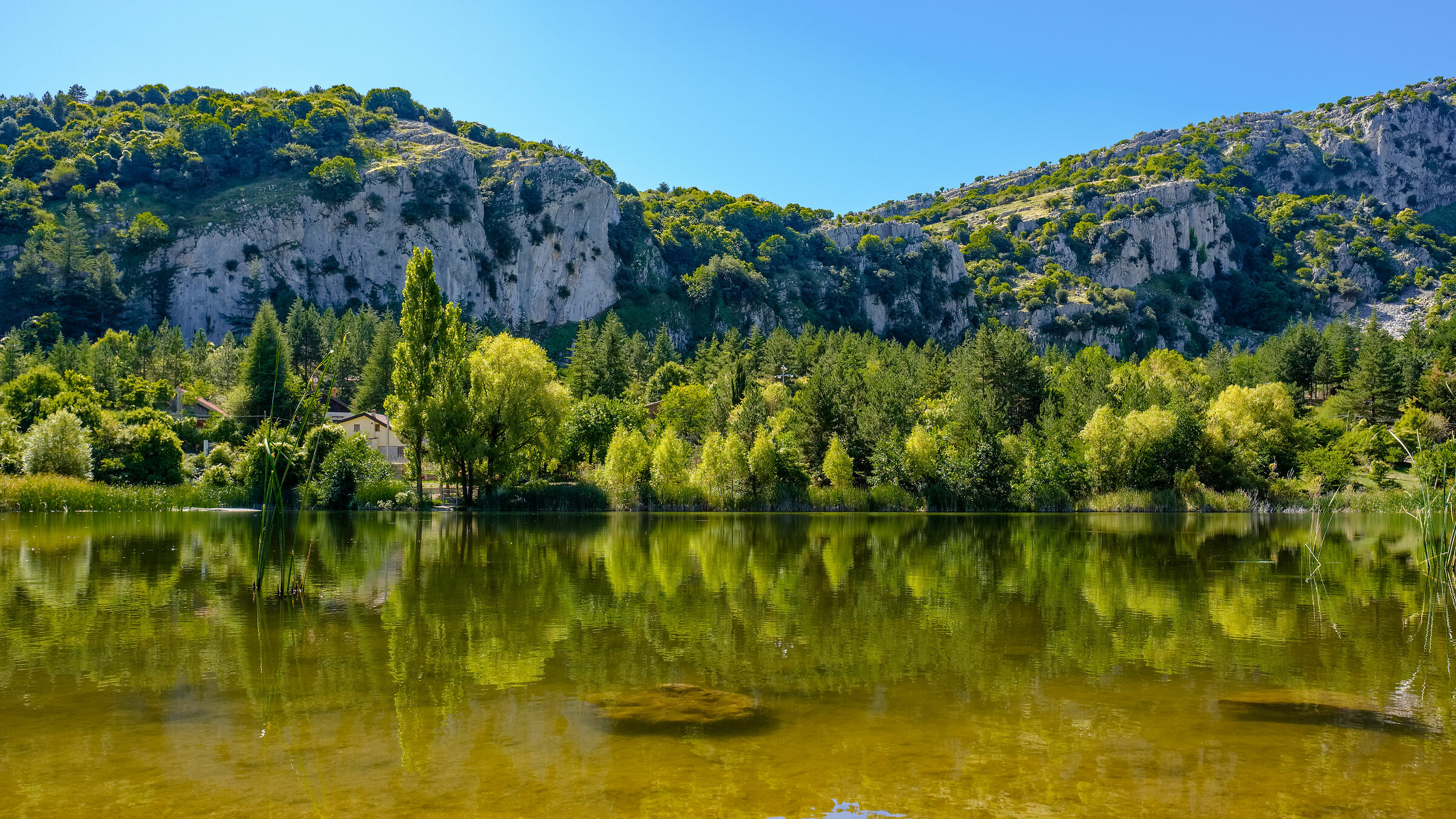 Pond "Count's Herd"1