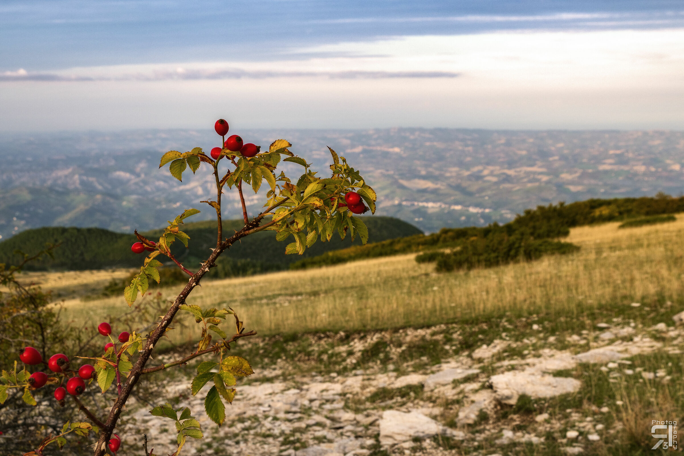 From the mountain to the sea in a shot 2