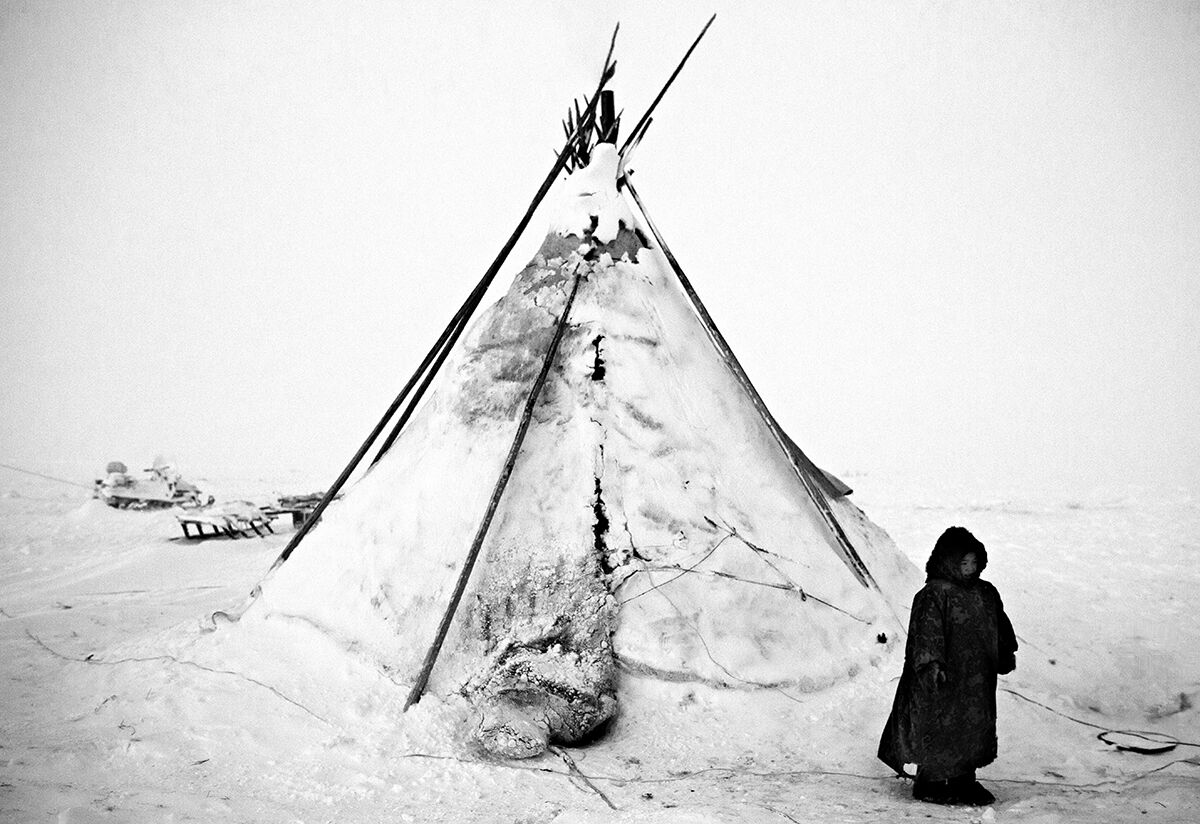 Alone, Siberian tundra