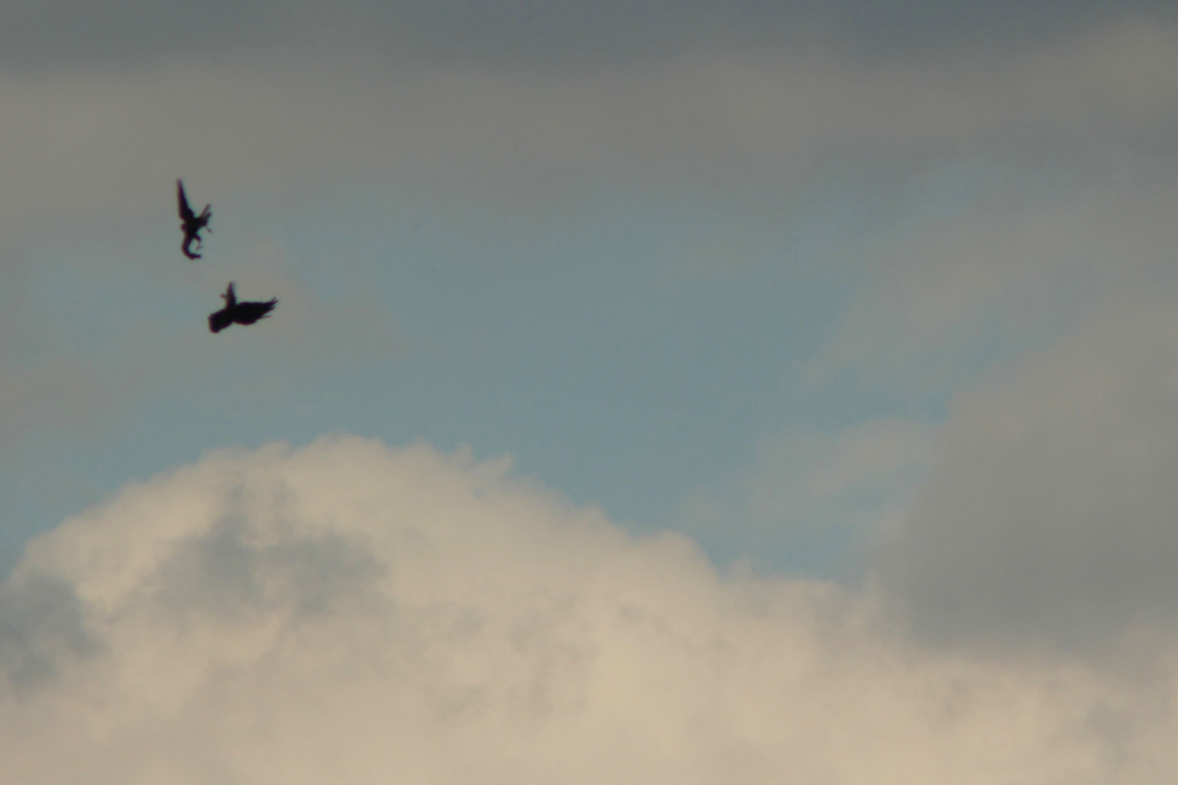 Qualche chilometro più in là e più in s...