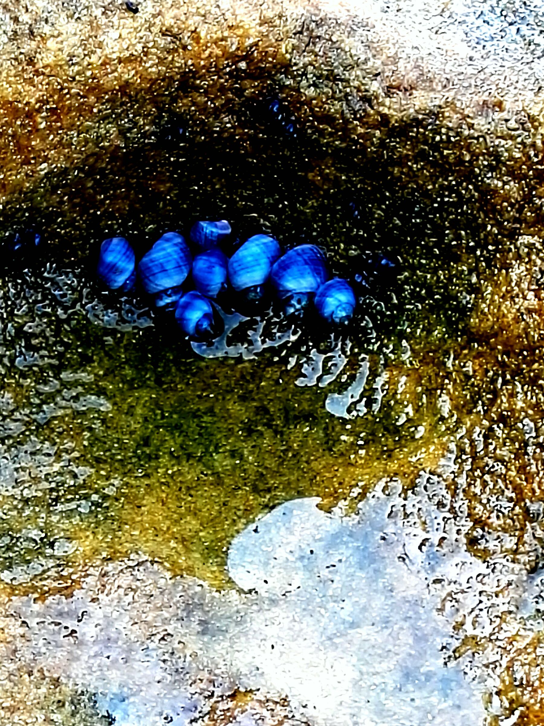 Una carezza nel mare di Sidney