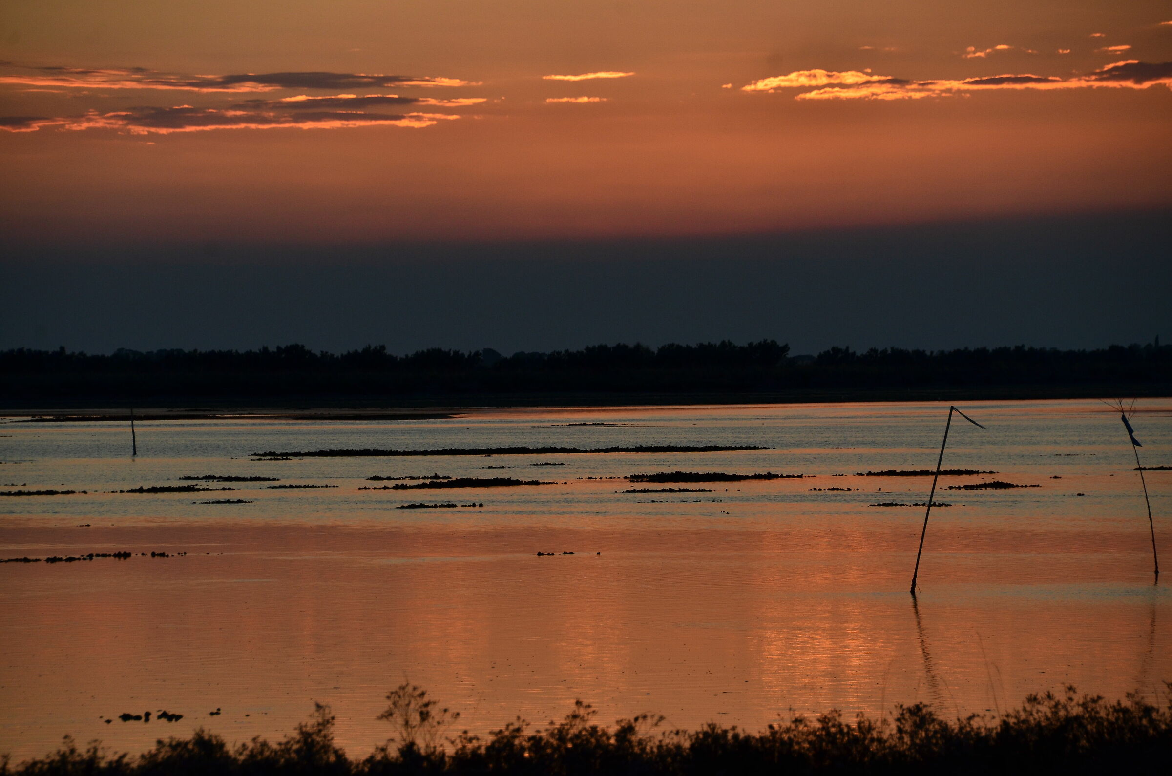 Laguna di Grado