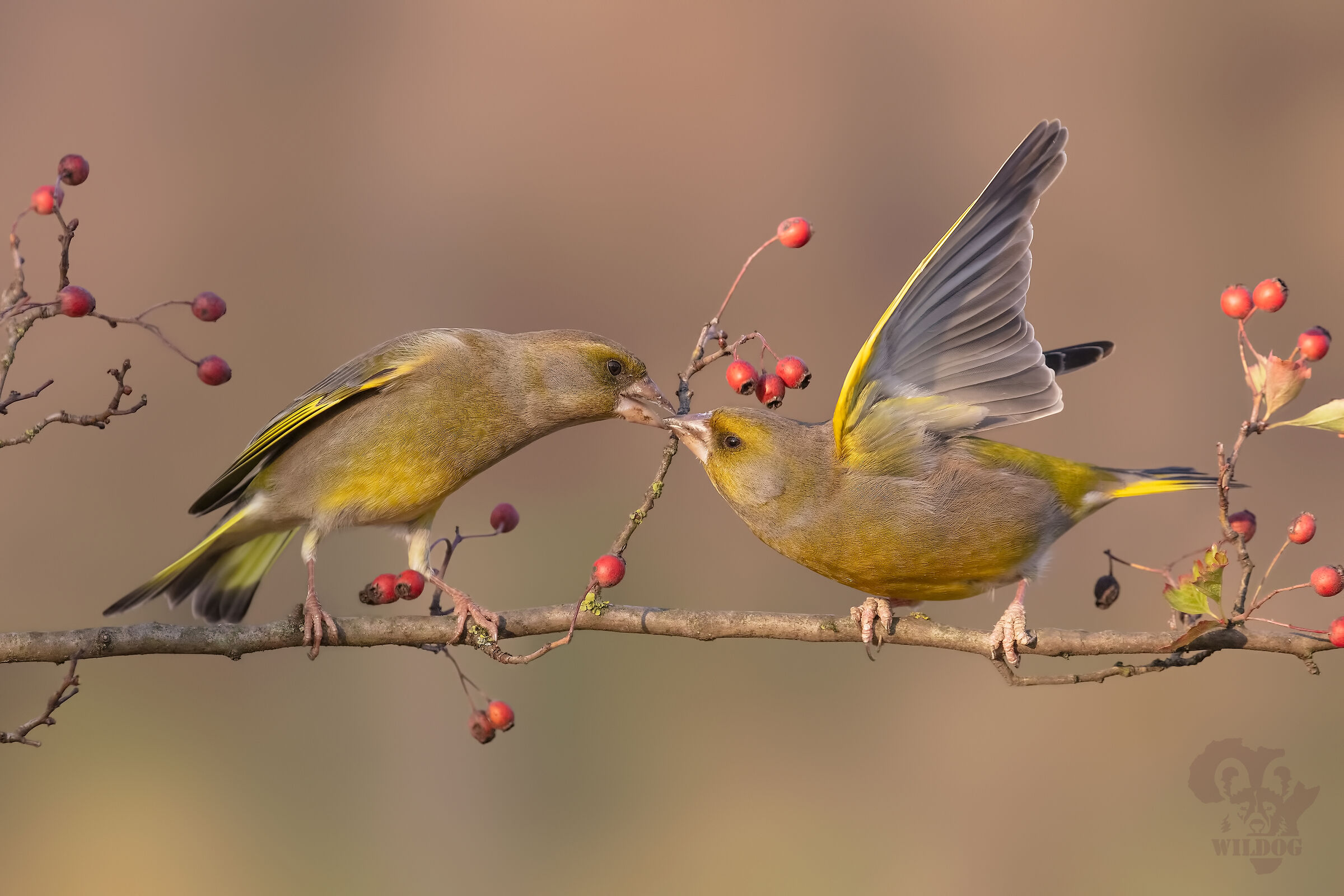 non è mai finita....