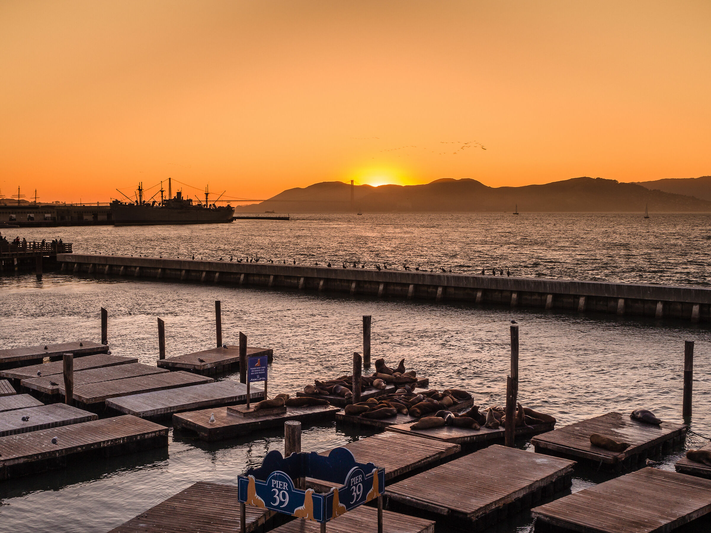 Pier