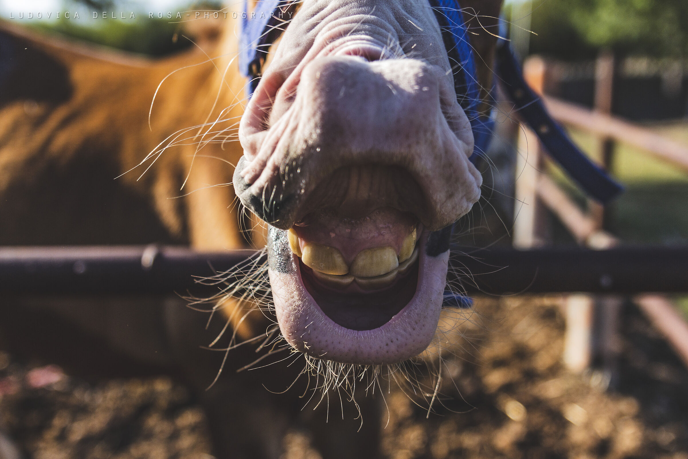 Smile for the camera.