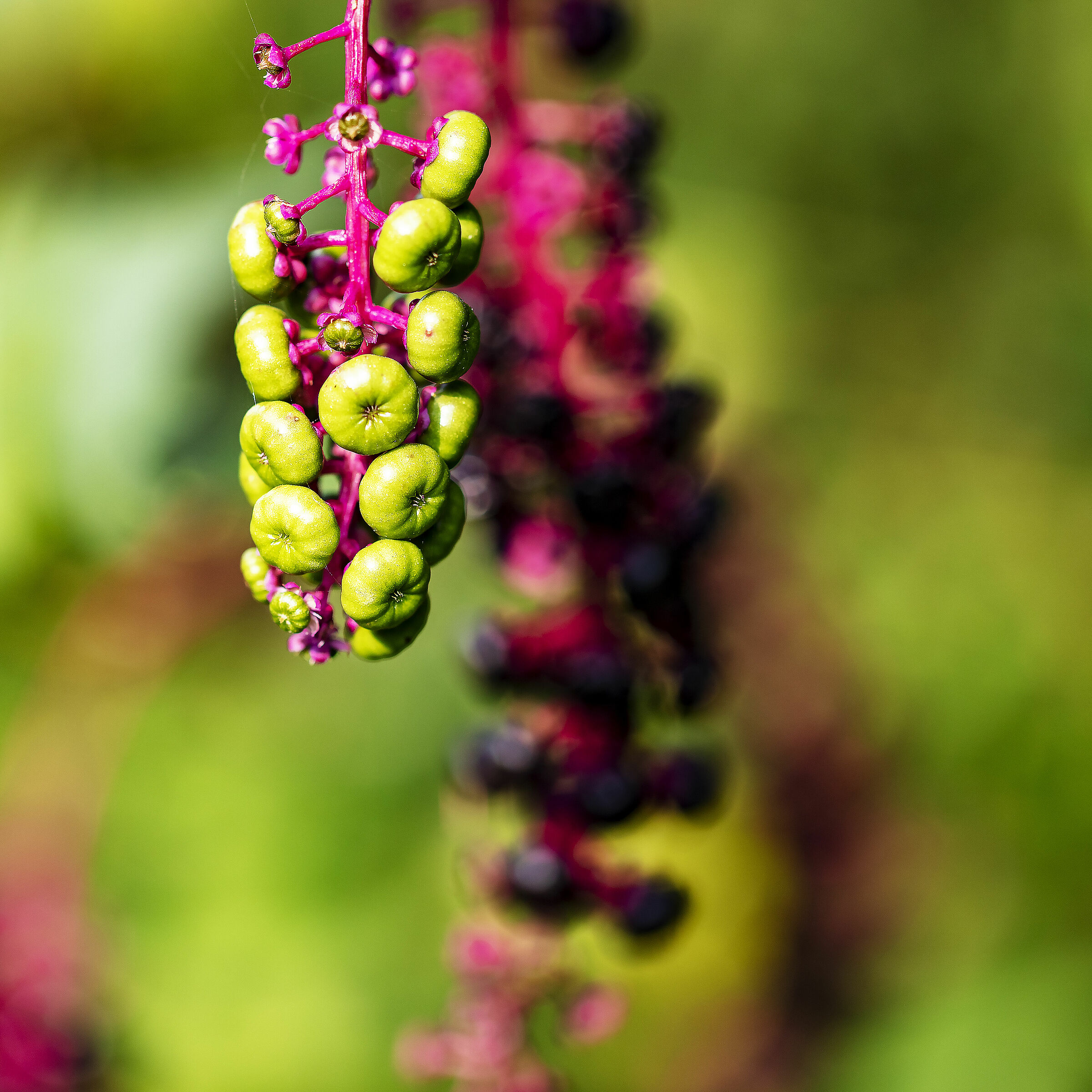 Il vecchio e il nuovo