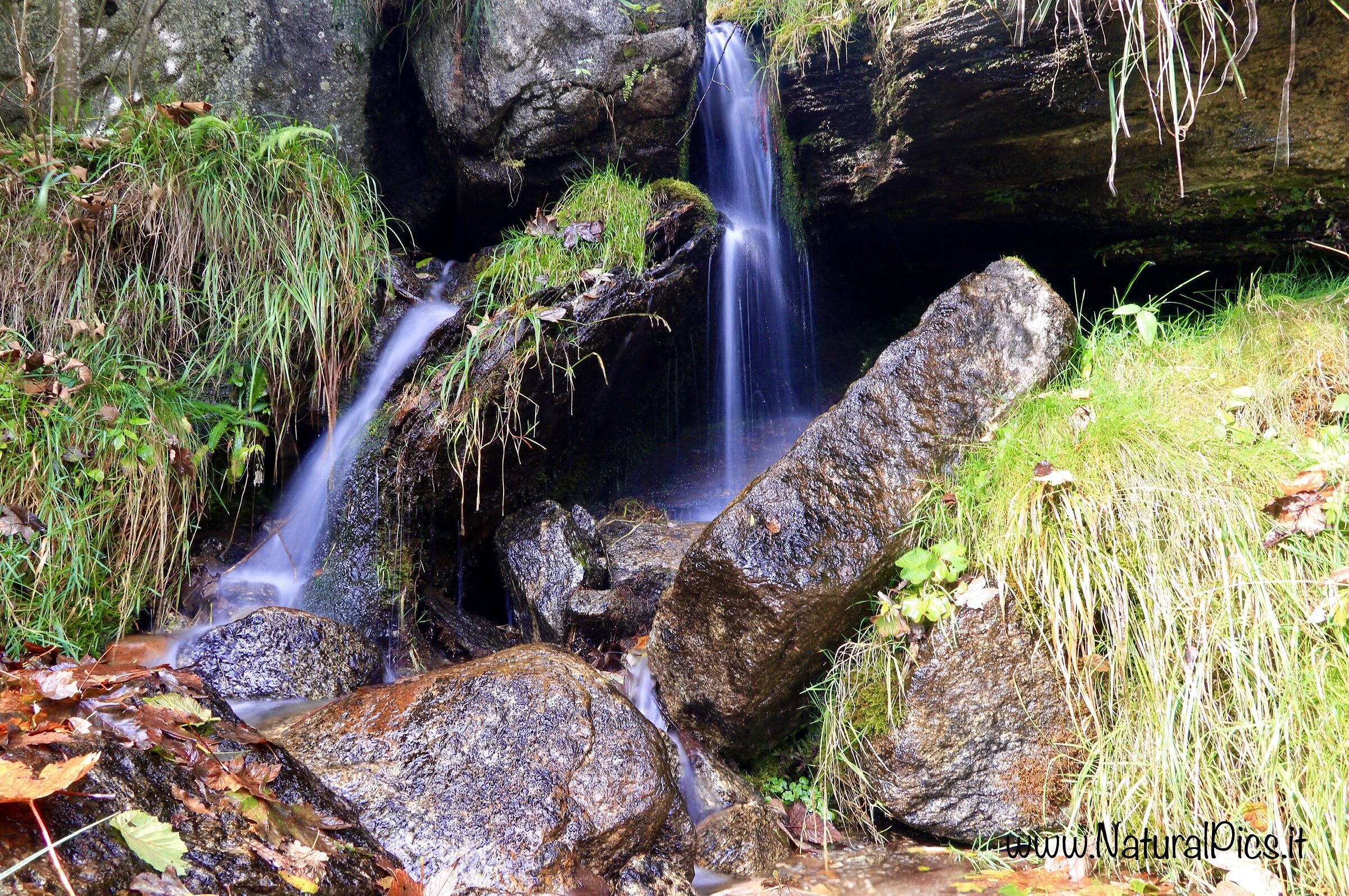 #stream #ruscello