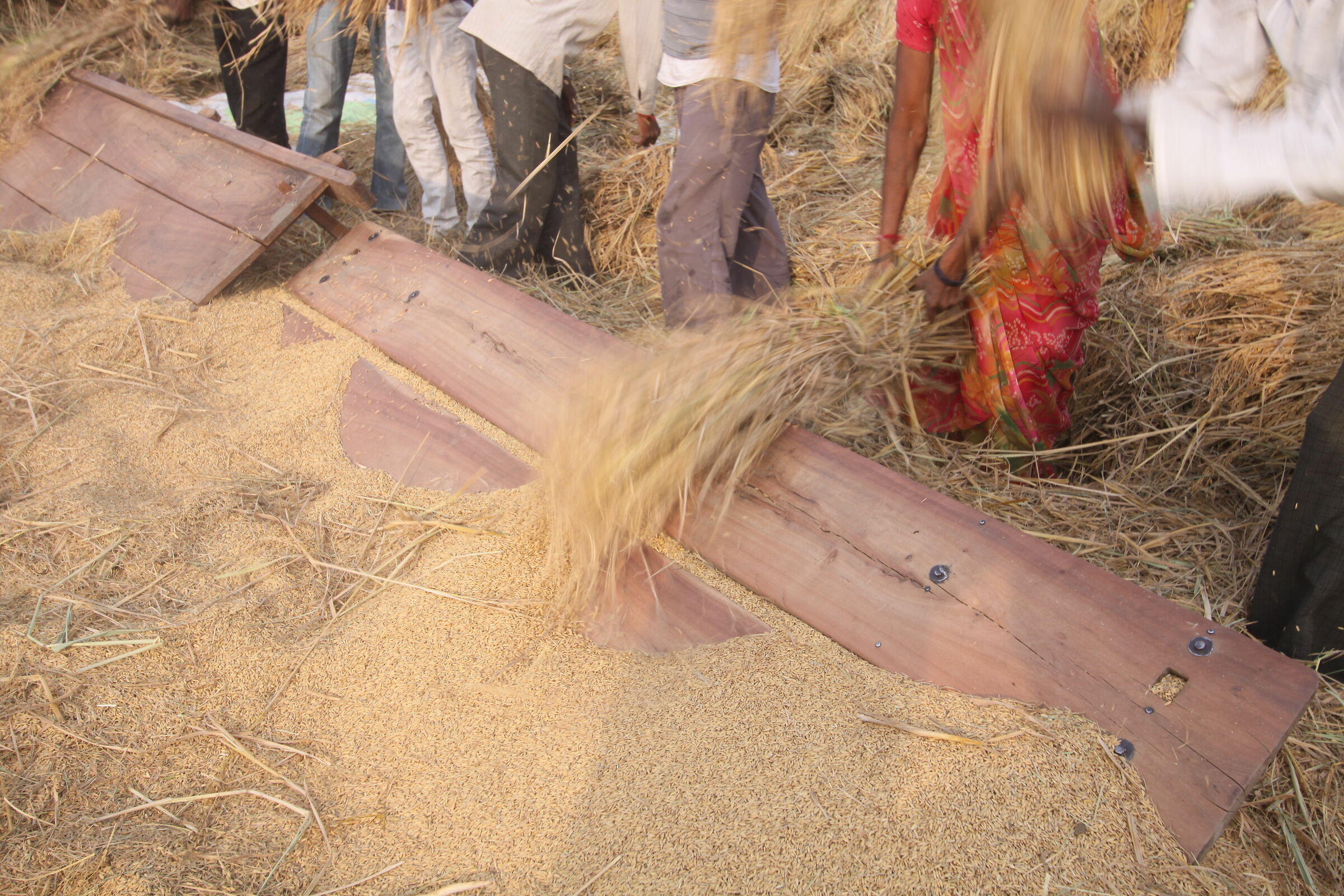 9813 - Gujarat thresher