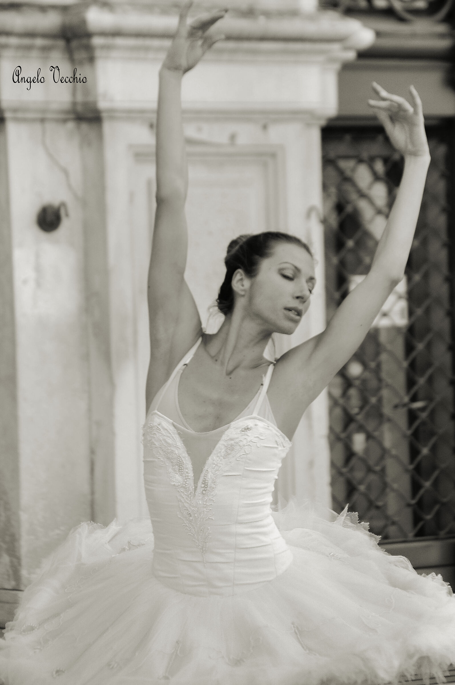Trieste danza....