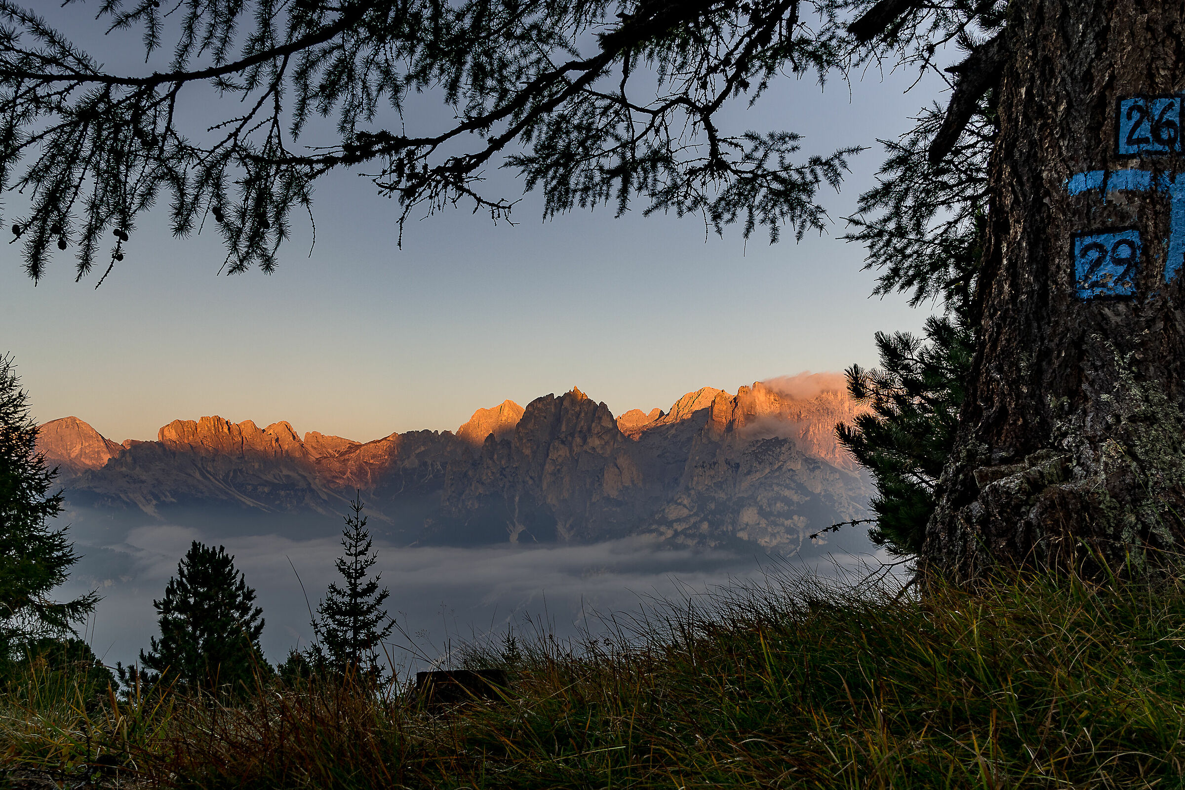 Finestra sul Rosengarten